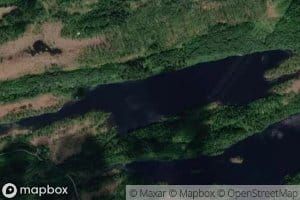 Klepptjorna