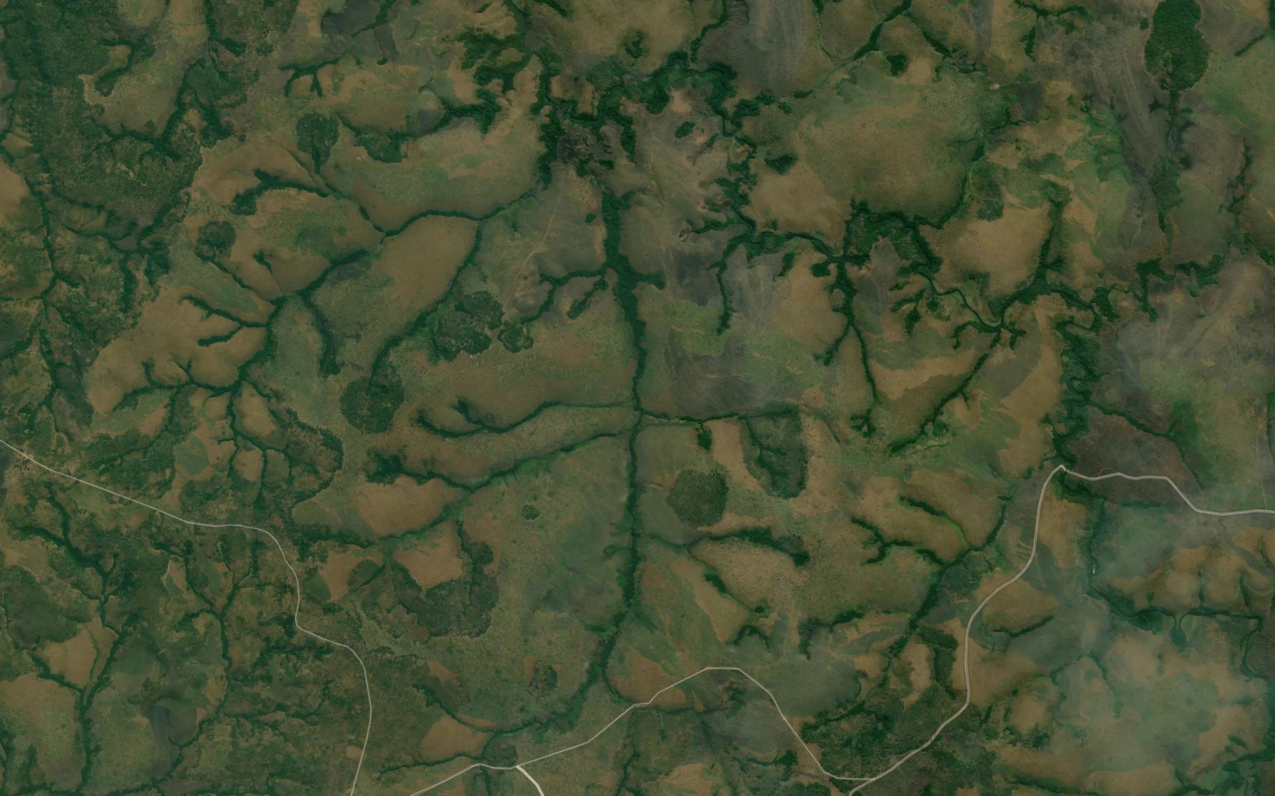 Camicunda