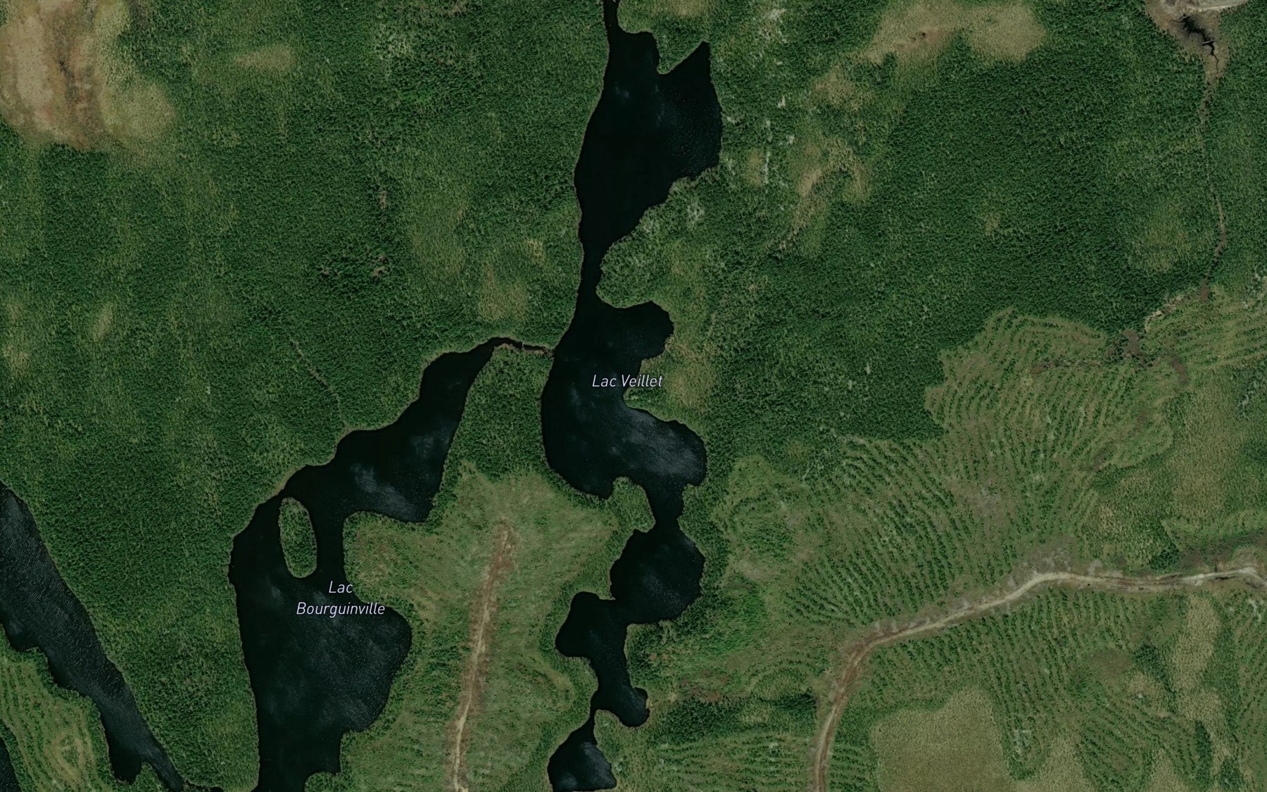 Satellite map of the Lac Veillet