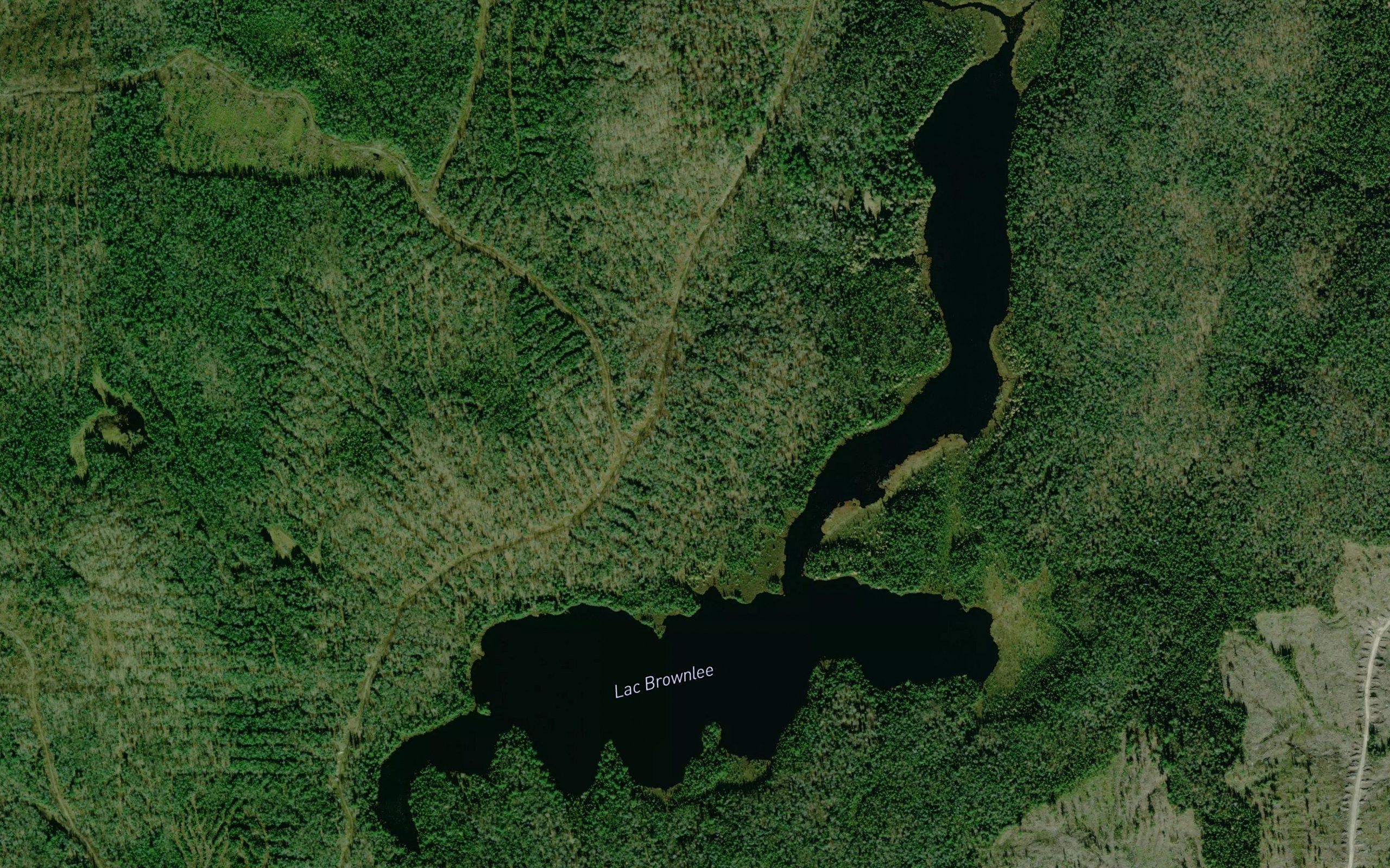 Lac Brownlee