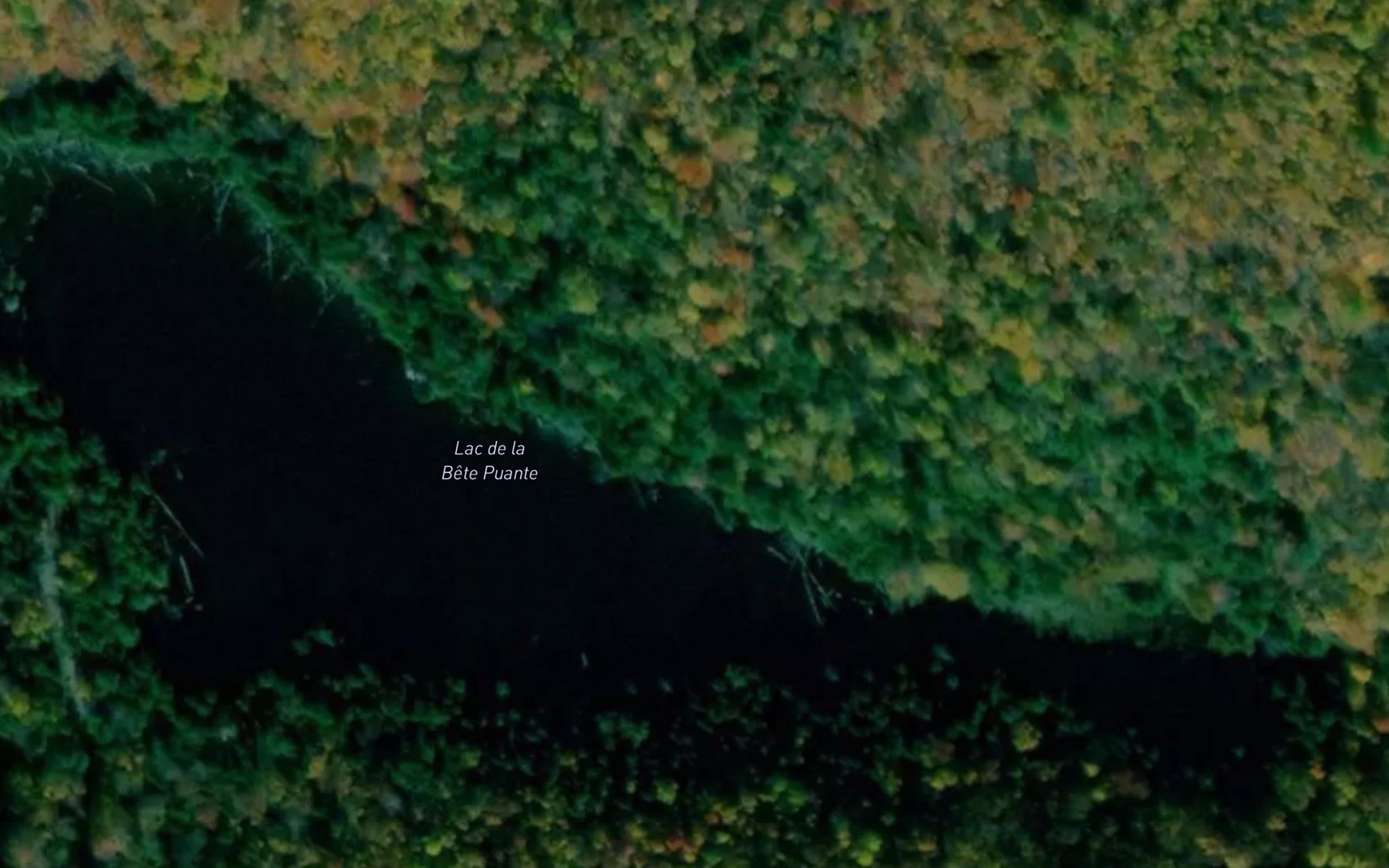 Satellite map of the Lac de la Bete Puante