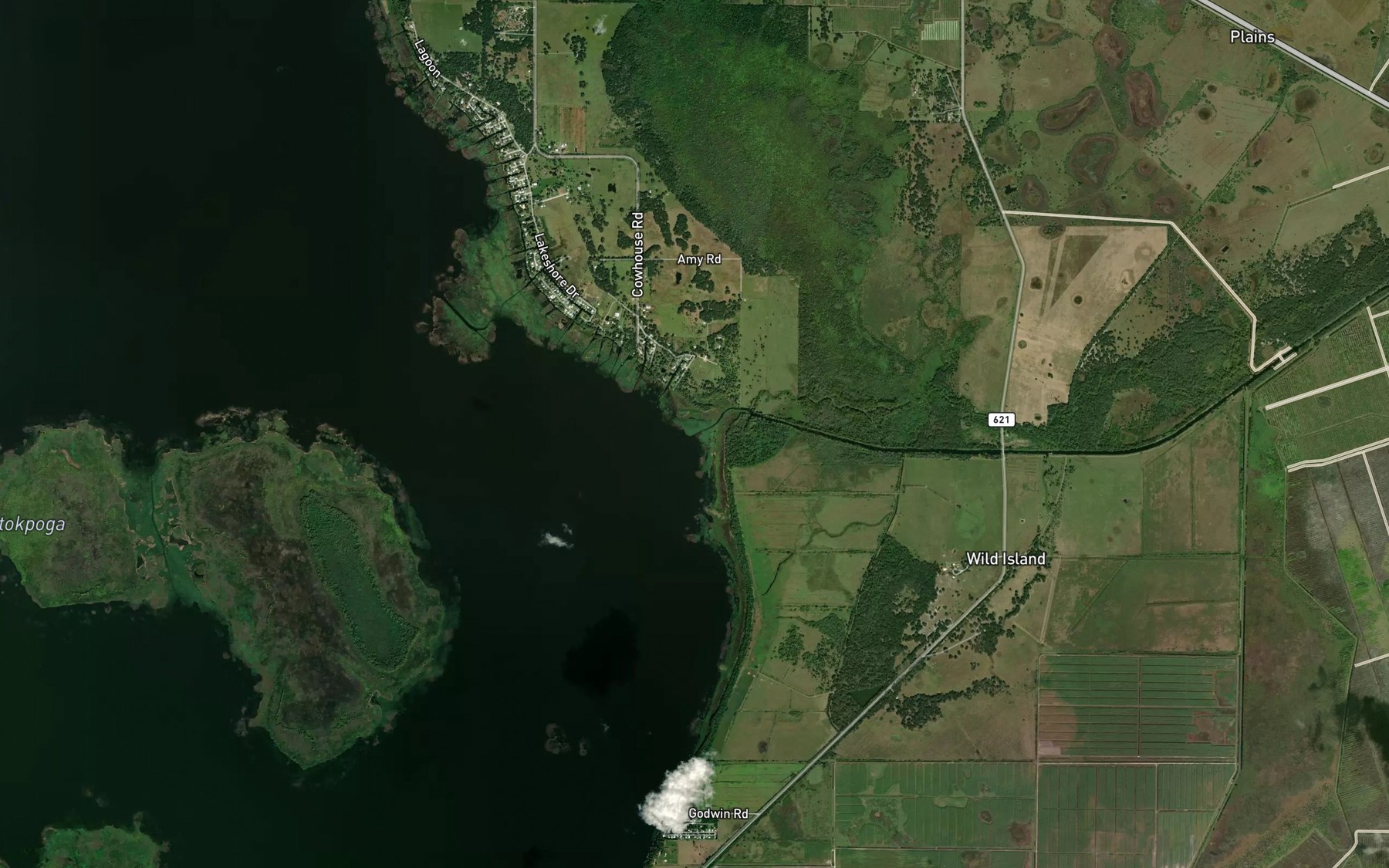Satellite map of the Istokpoga Creek