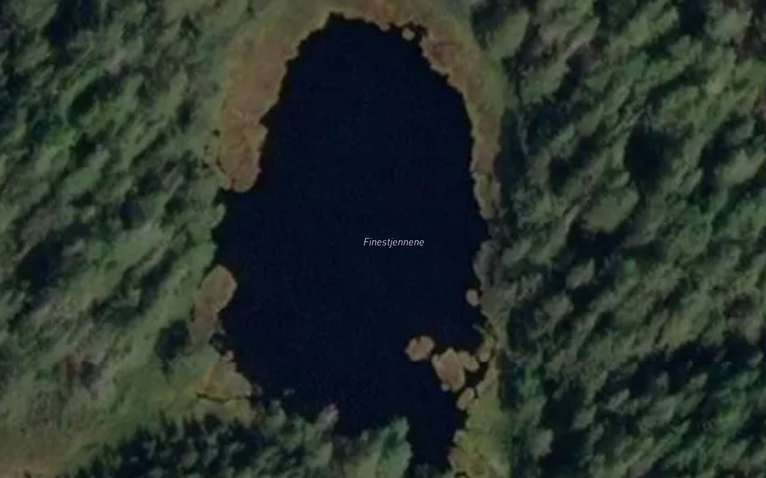 Finestjennene