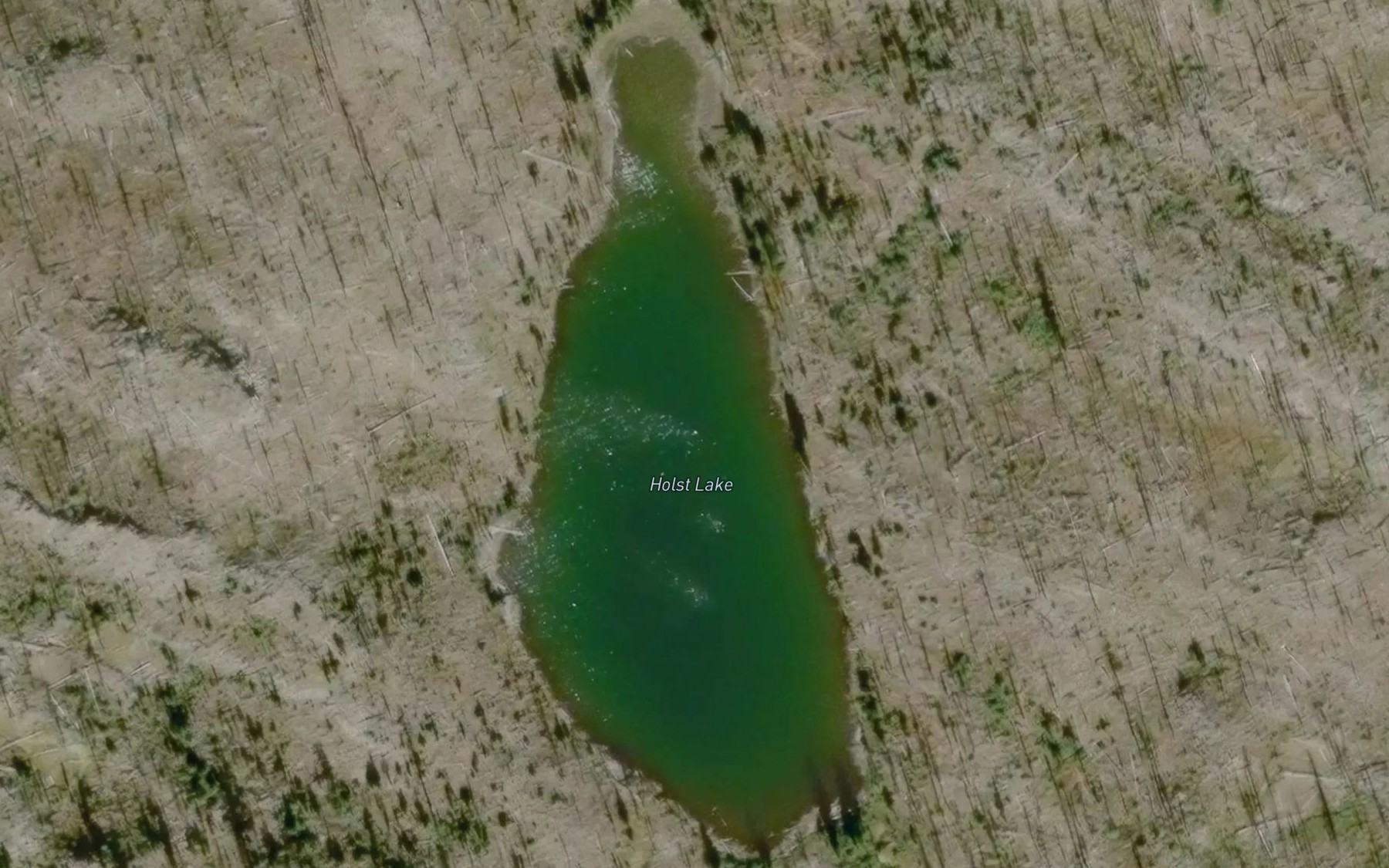 Satellite map of the Holst Lake