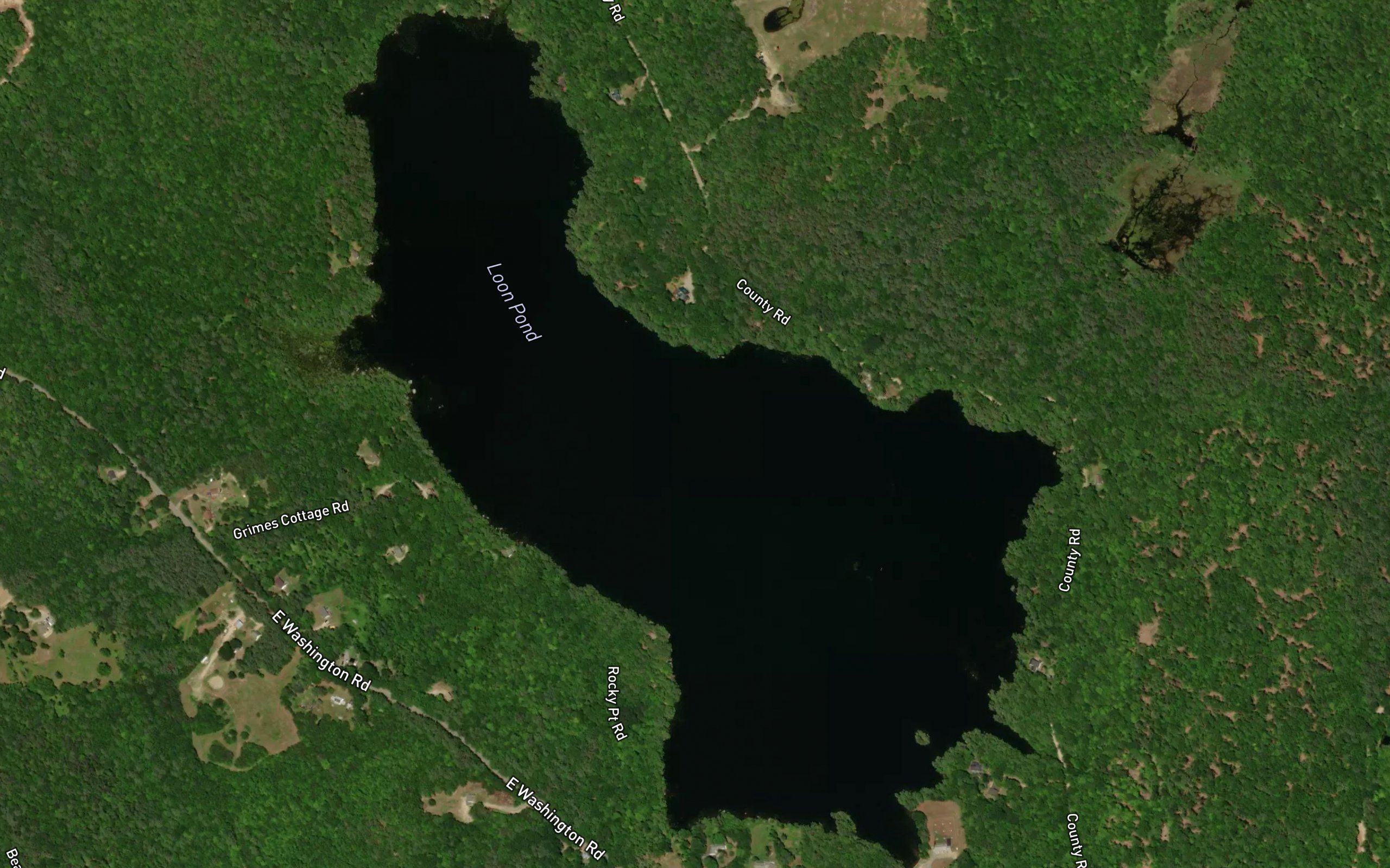 Loon Pond