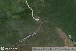 Sungai Terus