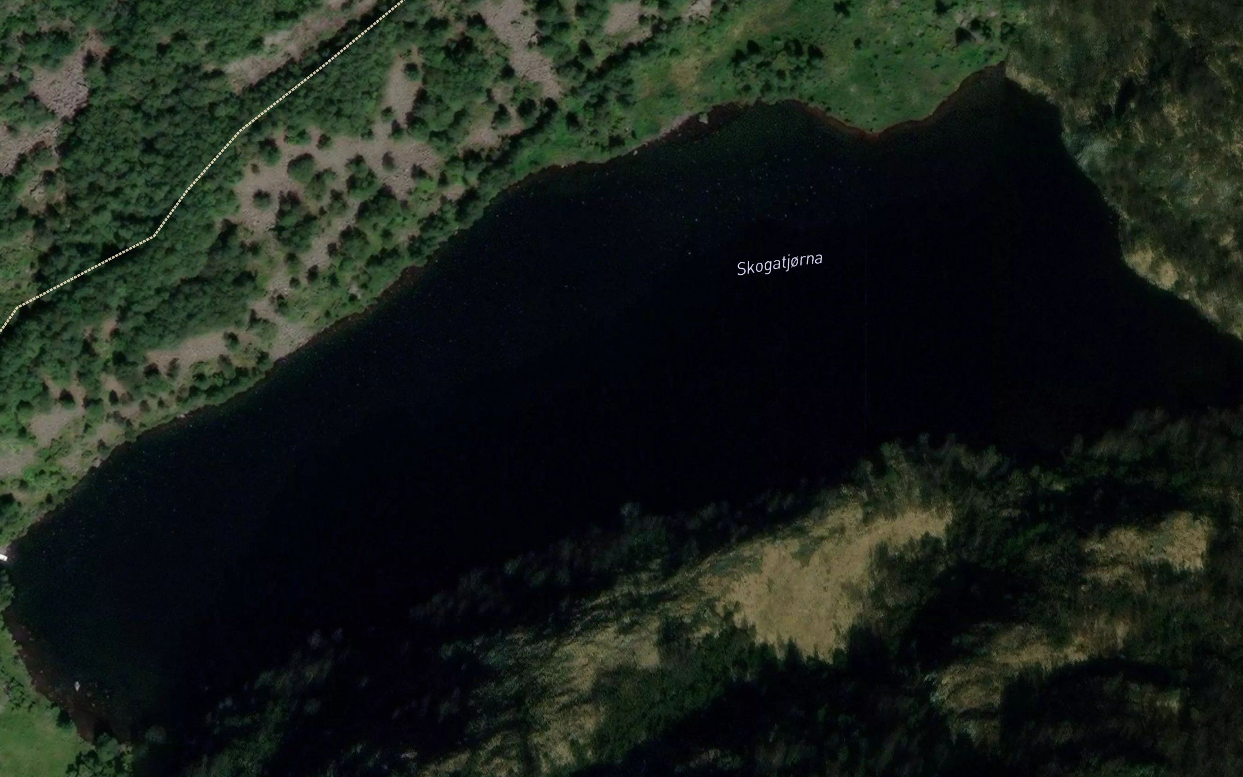Skogatjorna