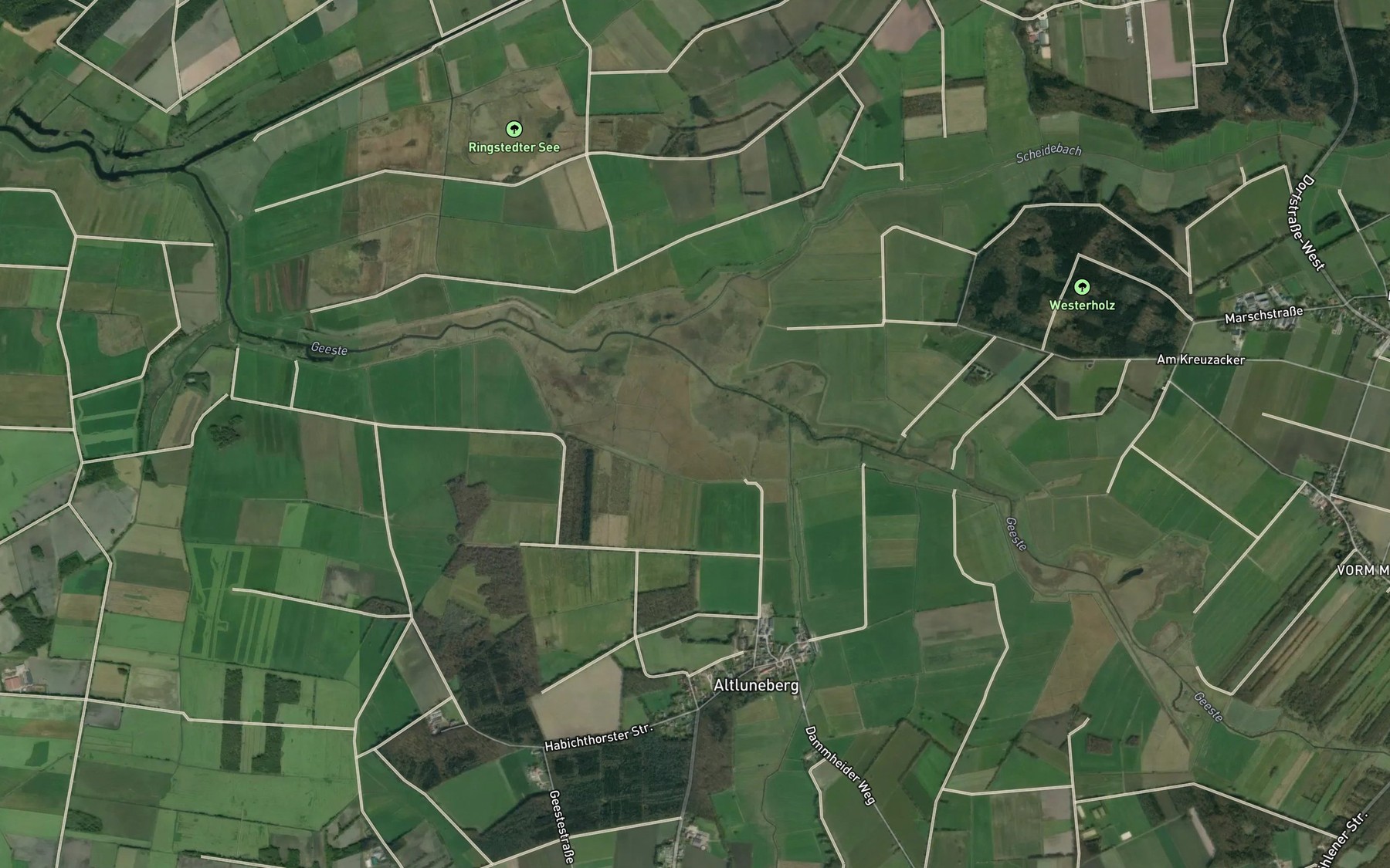 Satellite map of the Altluneberger See