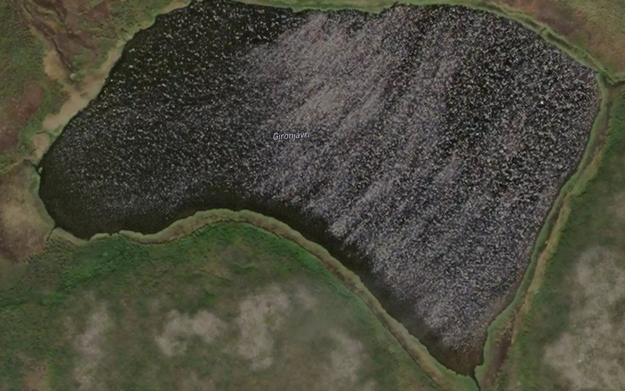 Girunjavri