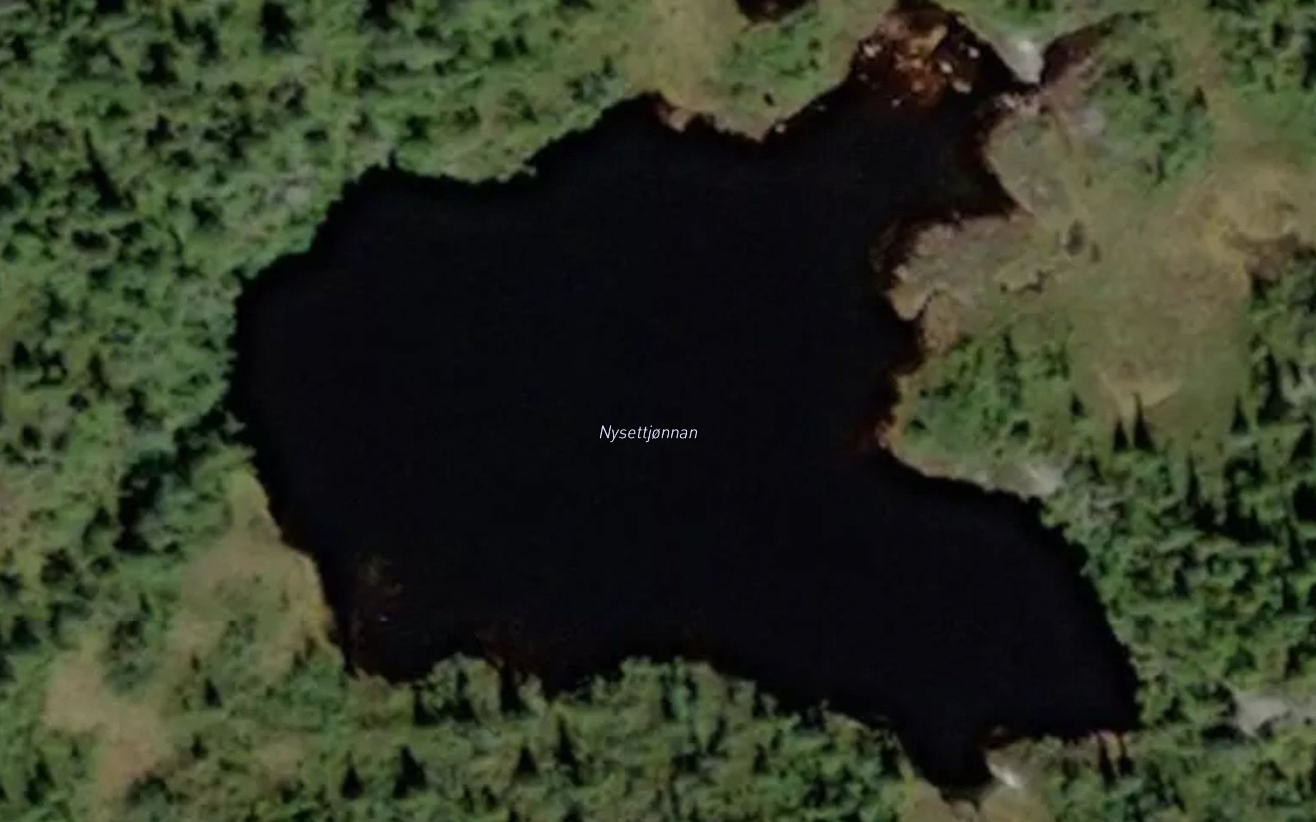 Nysettjonn