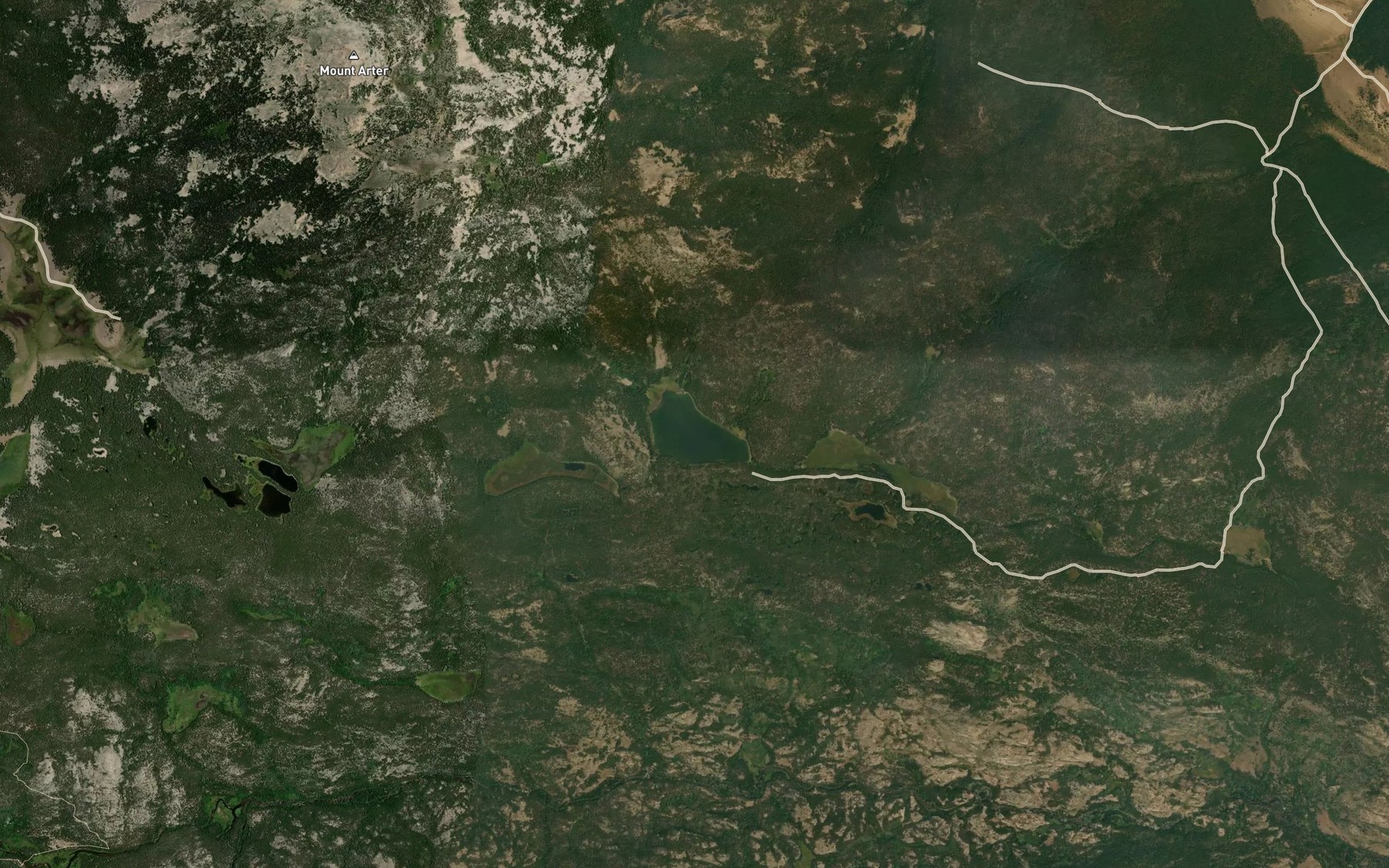 Satellite map of the Petes Lake