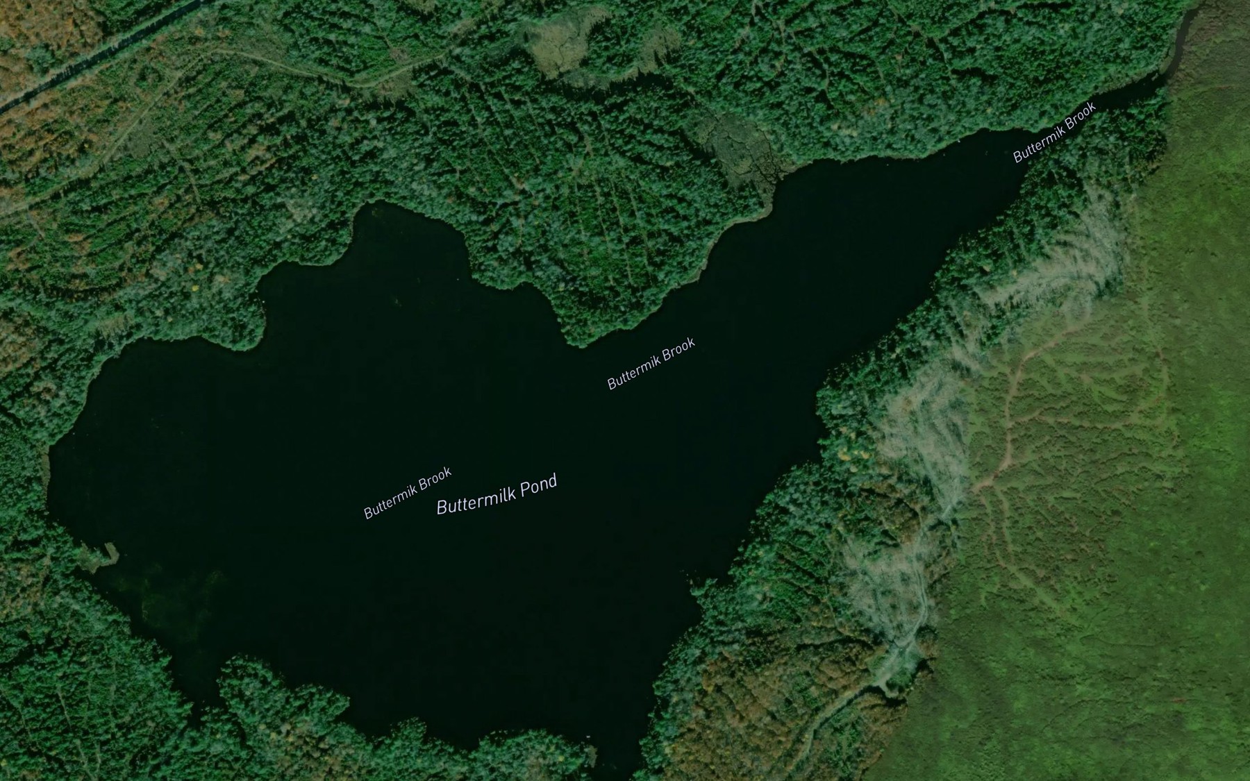 Satellite map of the Buttermilk Pond