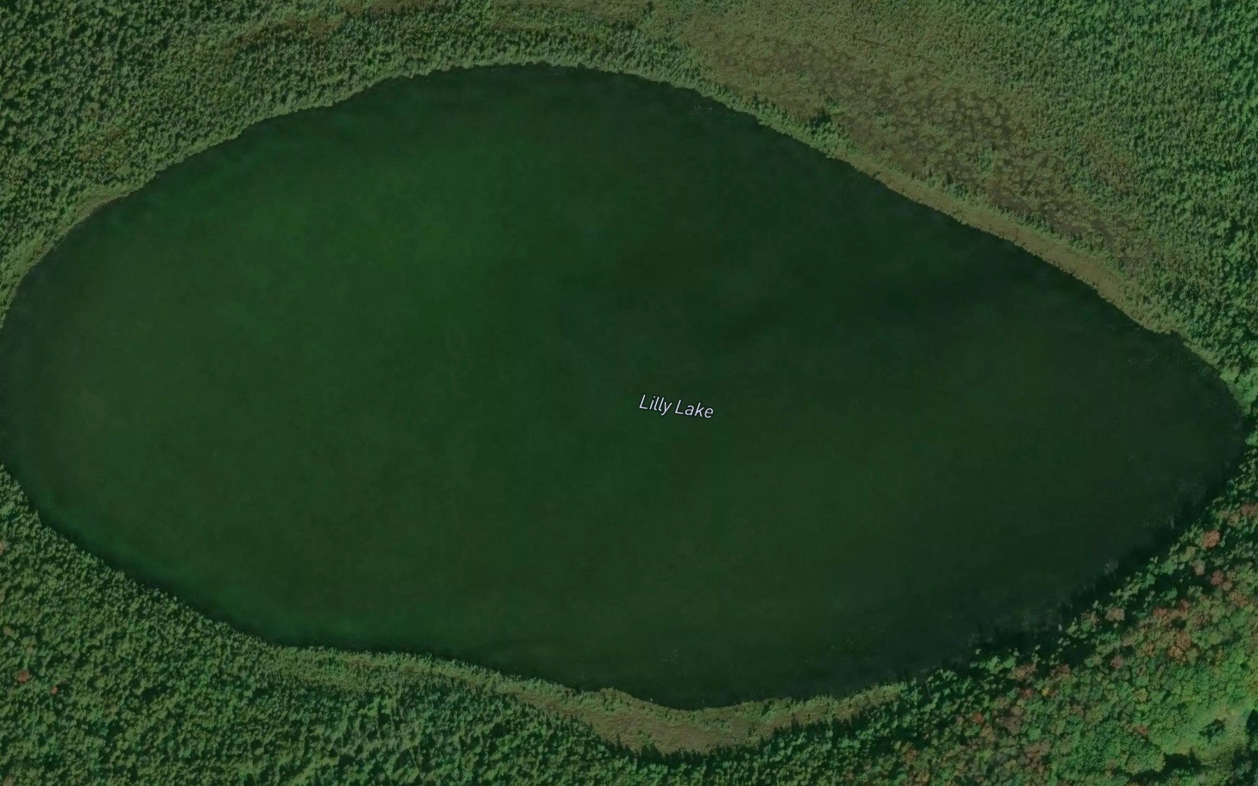 Satellite map of the Lilly Lake