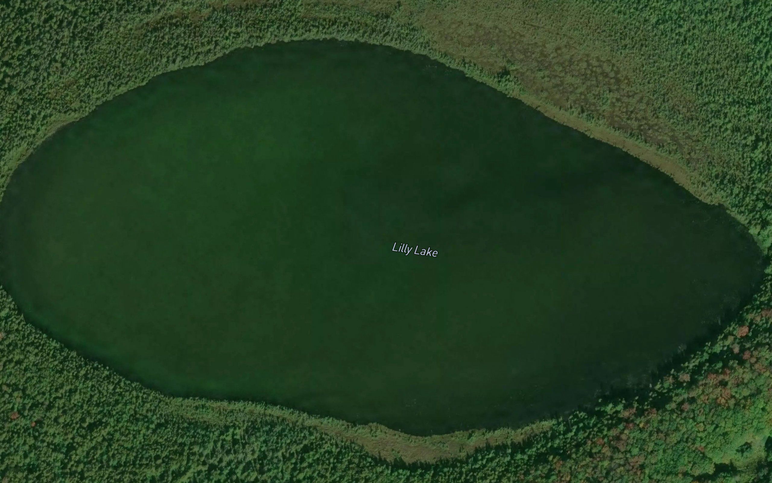 Lilly Lake