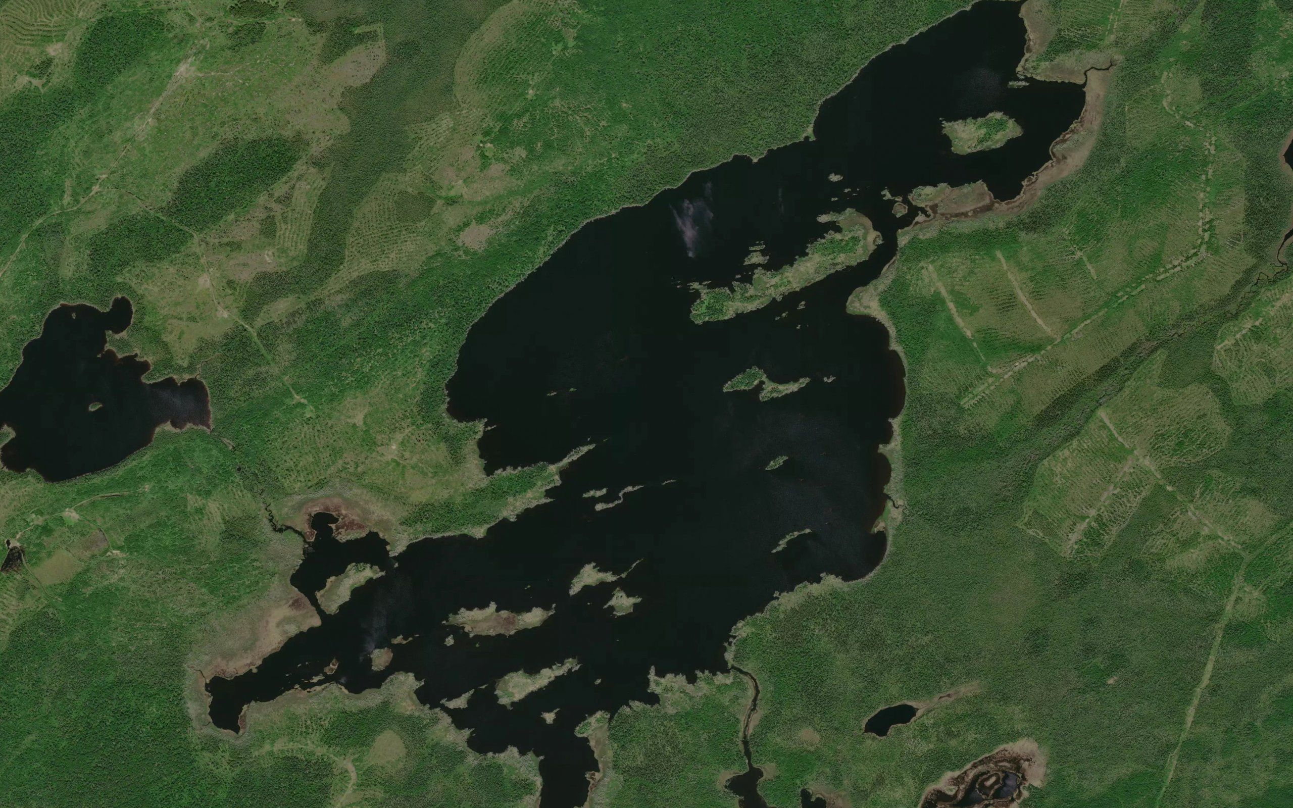 Leopard Lake