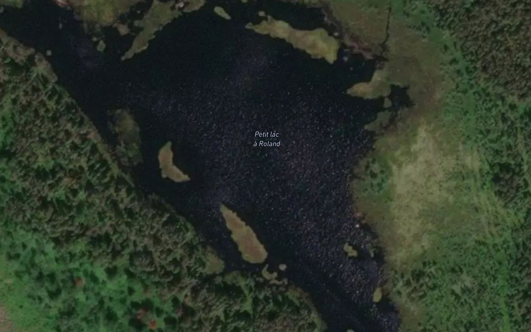 Satellite map of the Petit lac a Roland