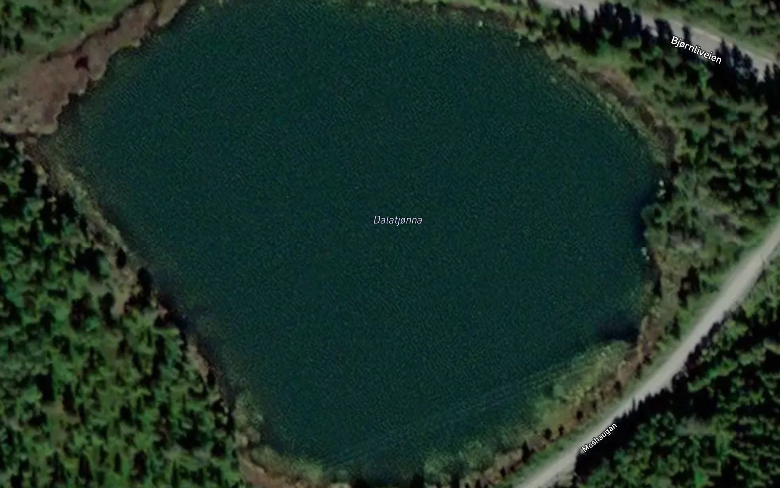Dalatjorna