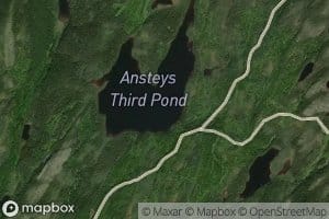 Ansteys Third Pond