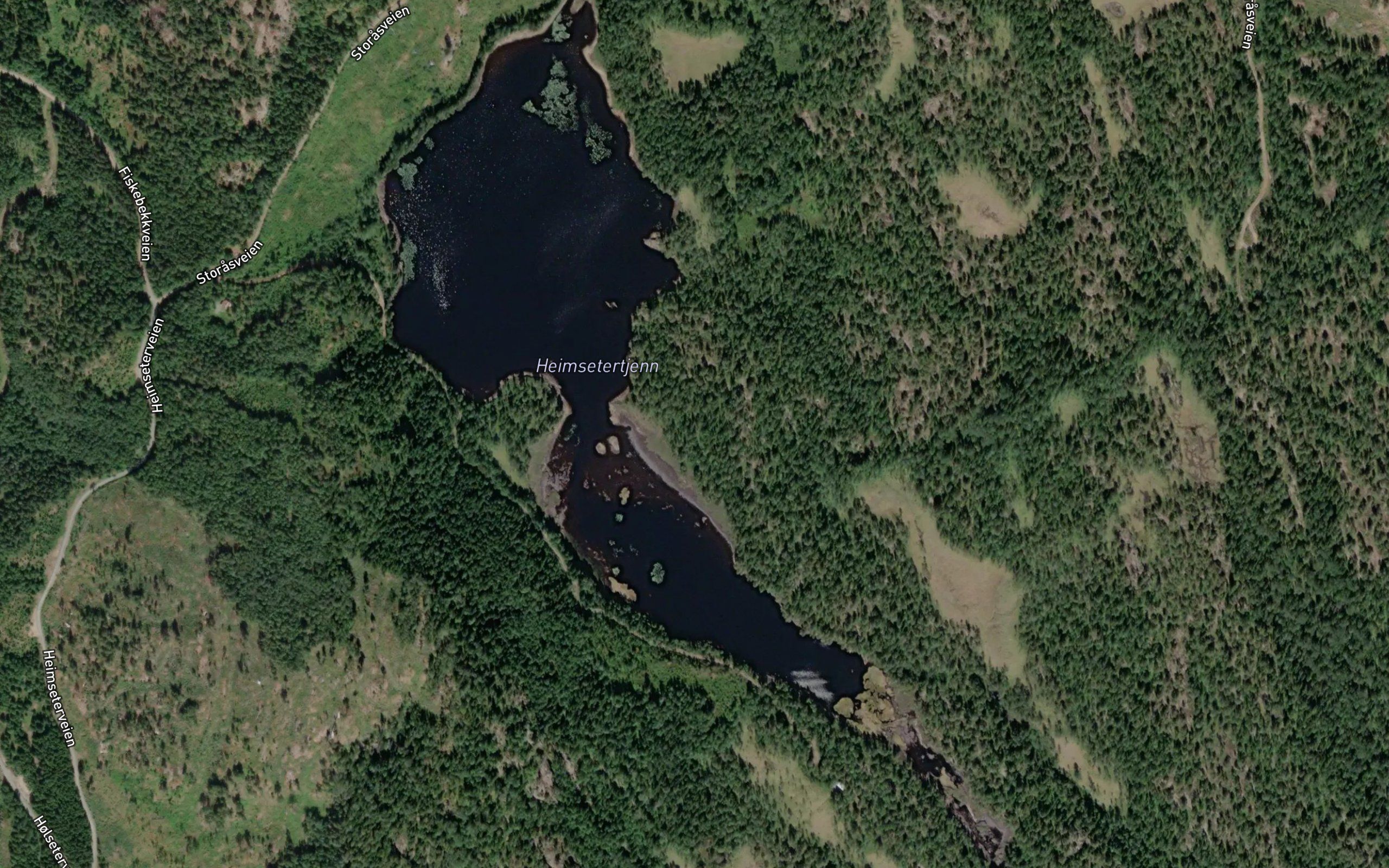 Heimsaetertjernet