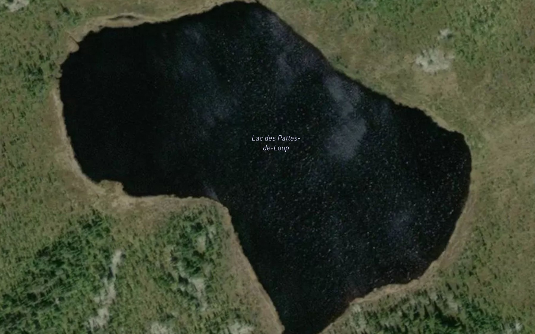Satellite map of the Lac des Pattes-de-Loup
