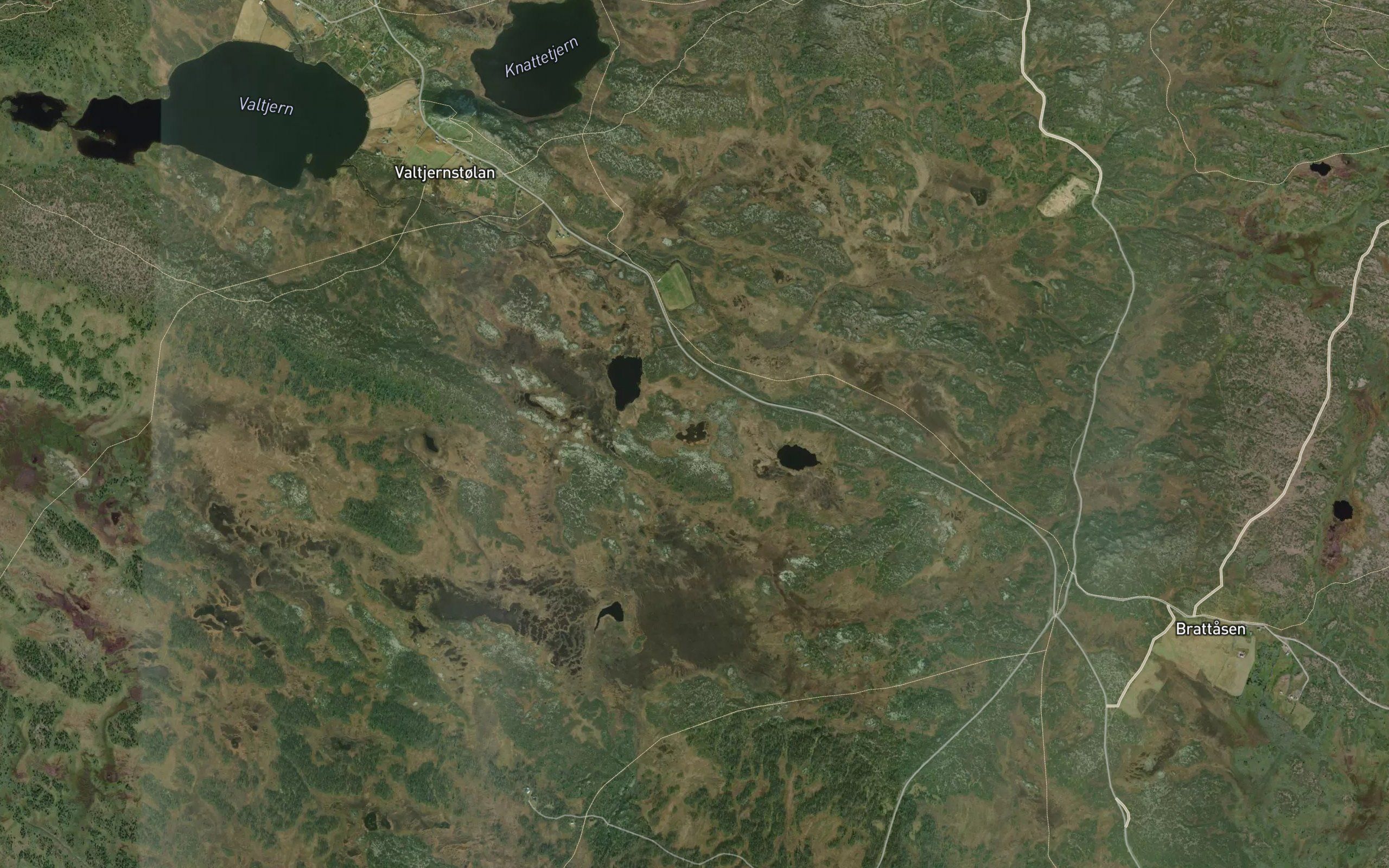 Storrtjednet
