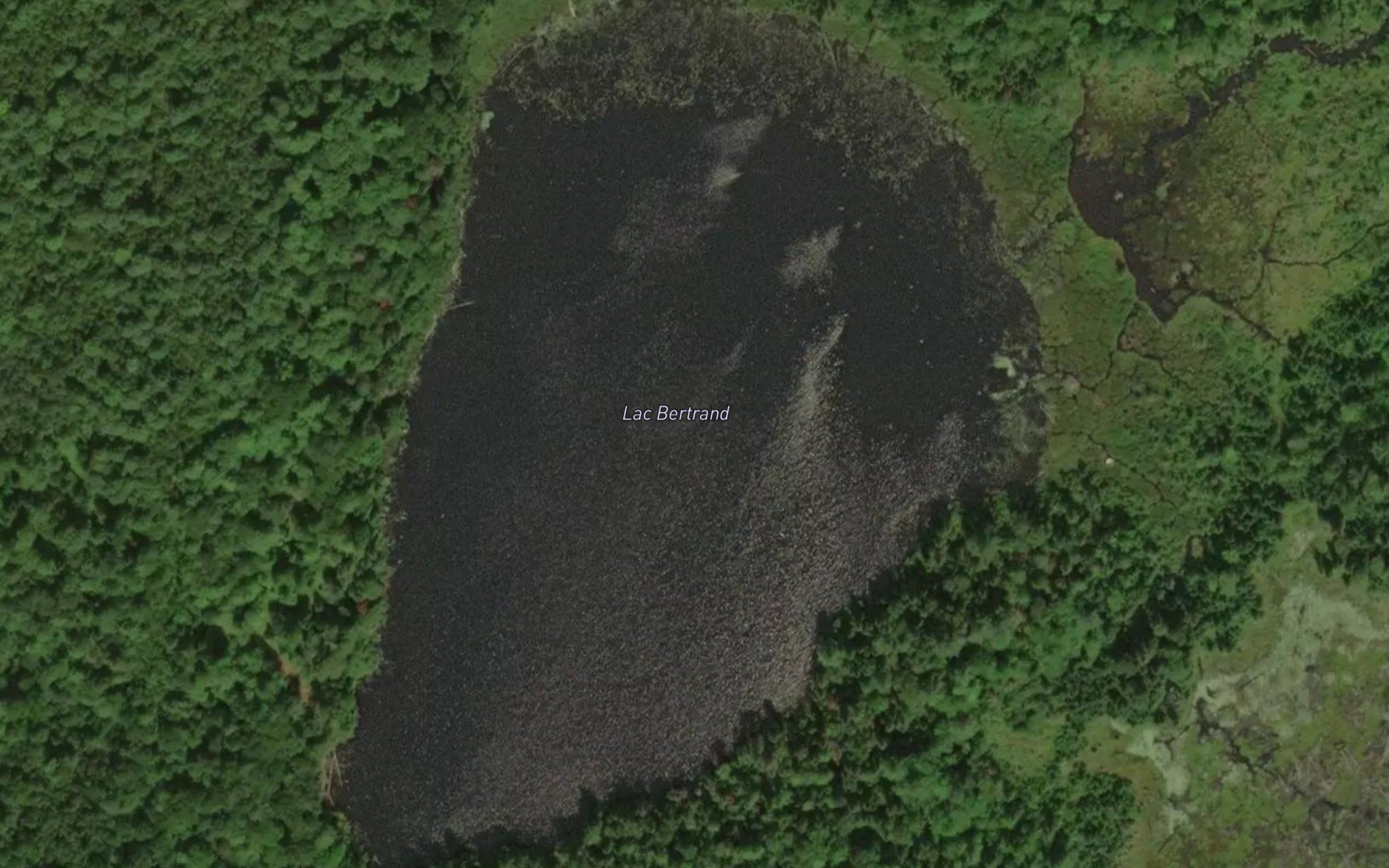 Lac Bertrand