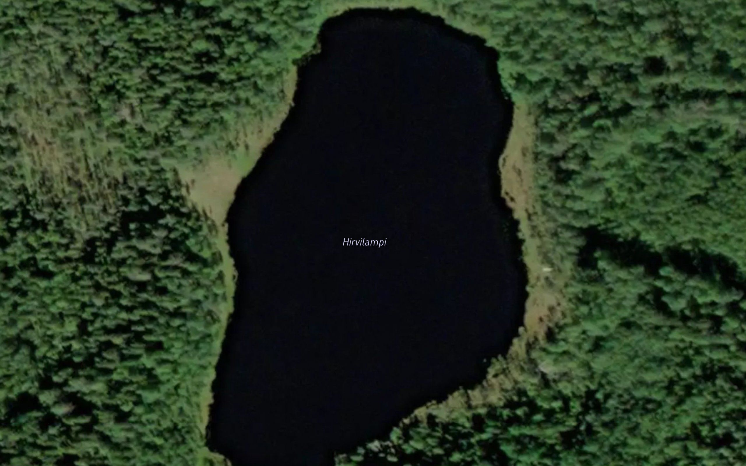 Hirvilampi