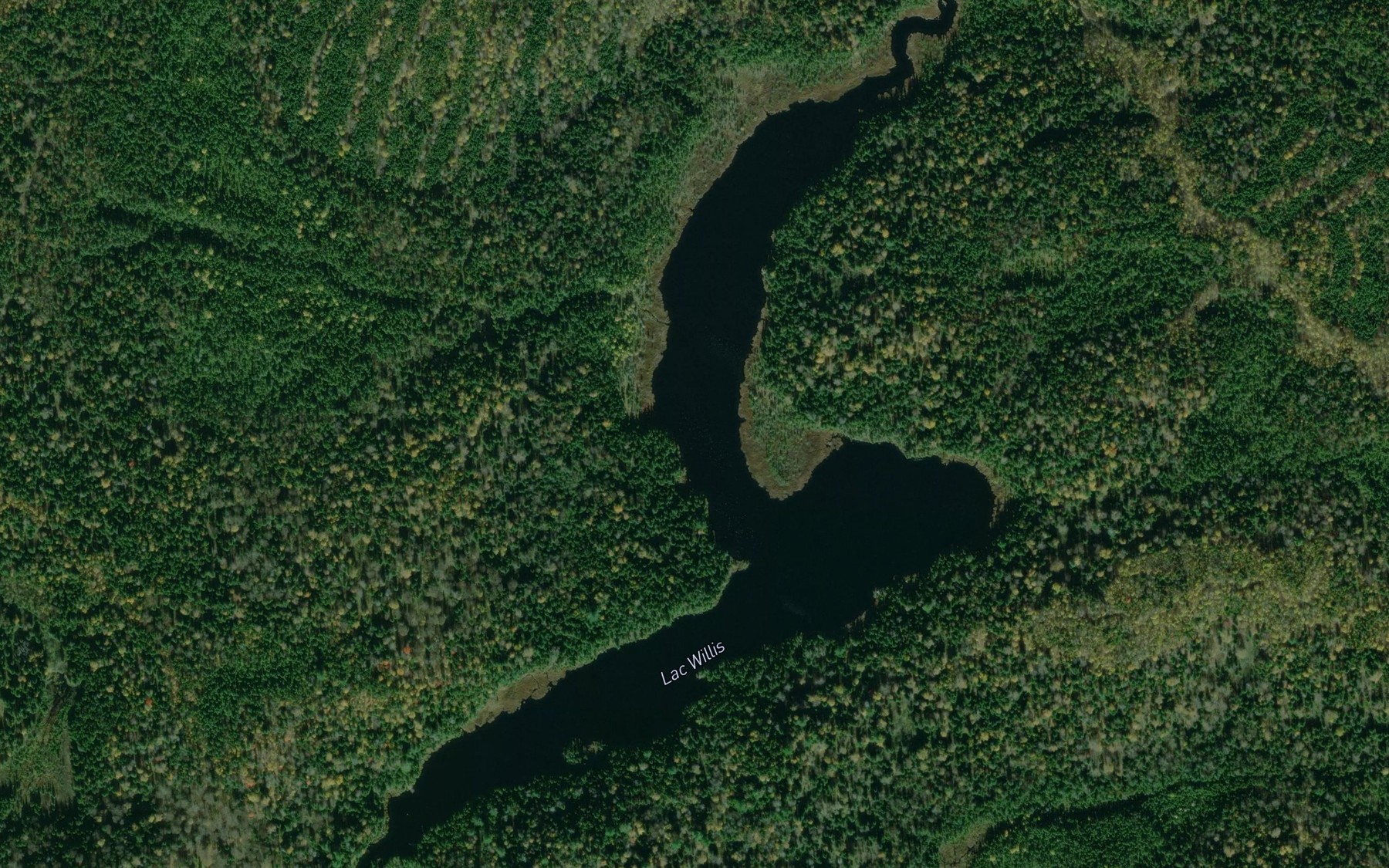 Satellite map of the Lac Willis
