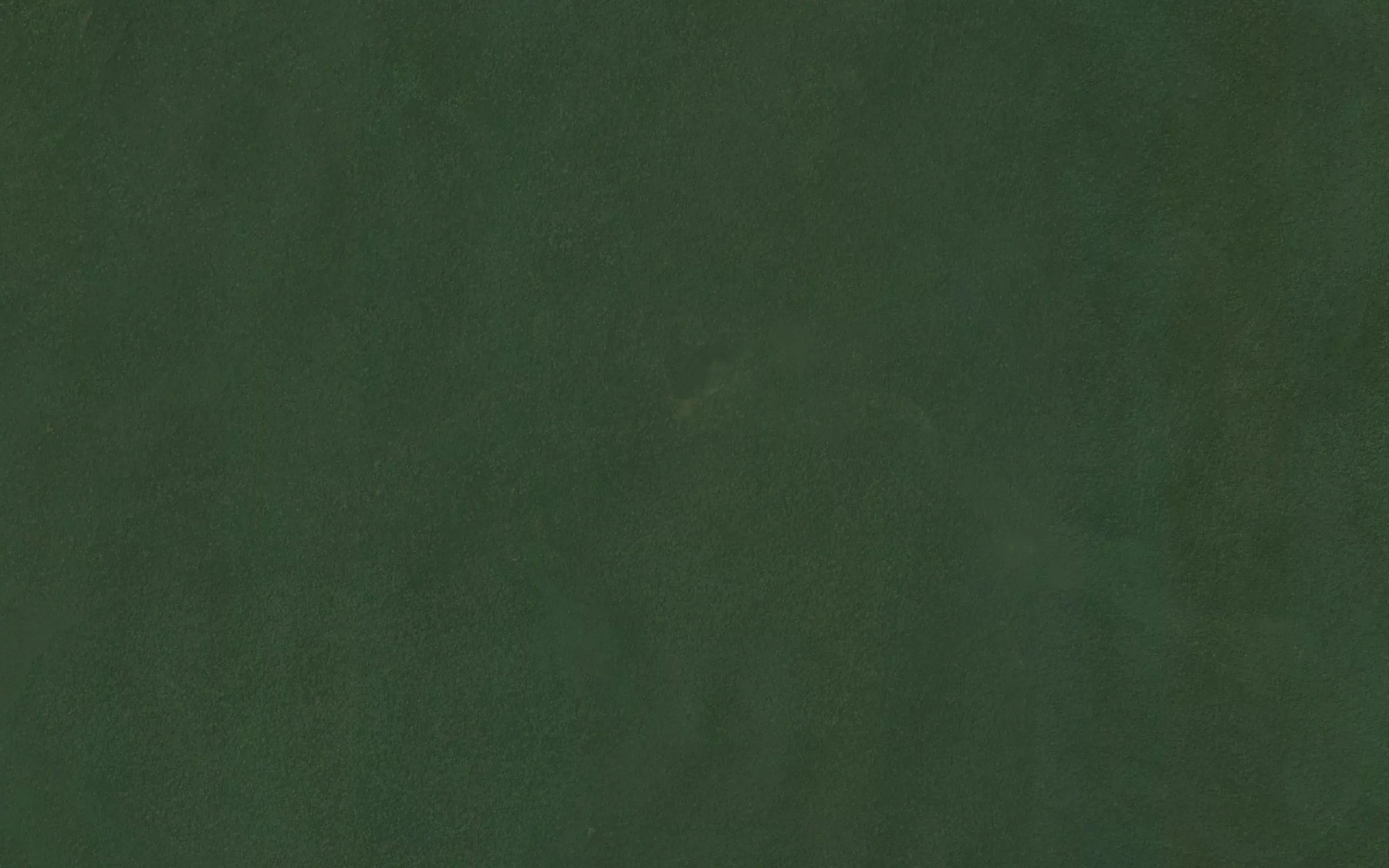 Satellite map of the Lokomo