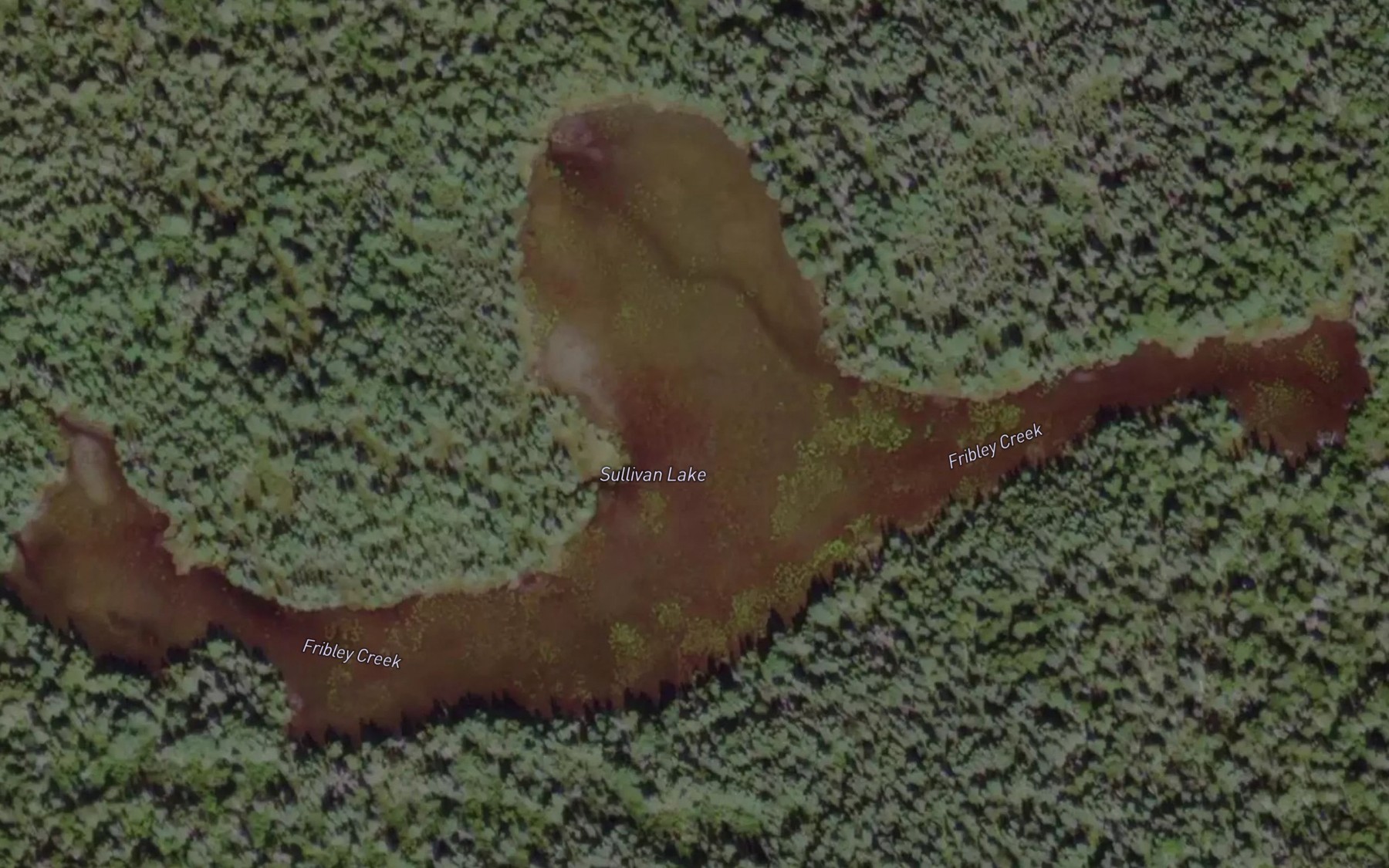 Satellite map of the Sullivan Lake