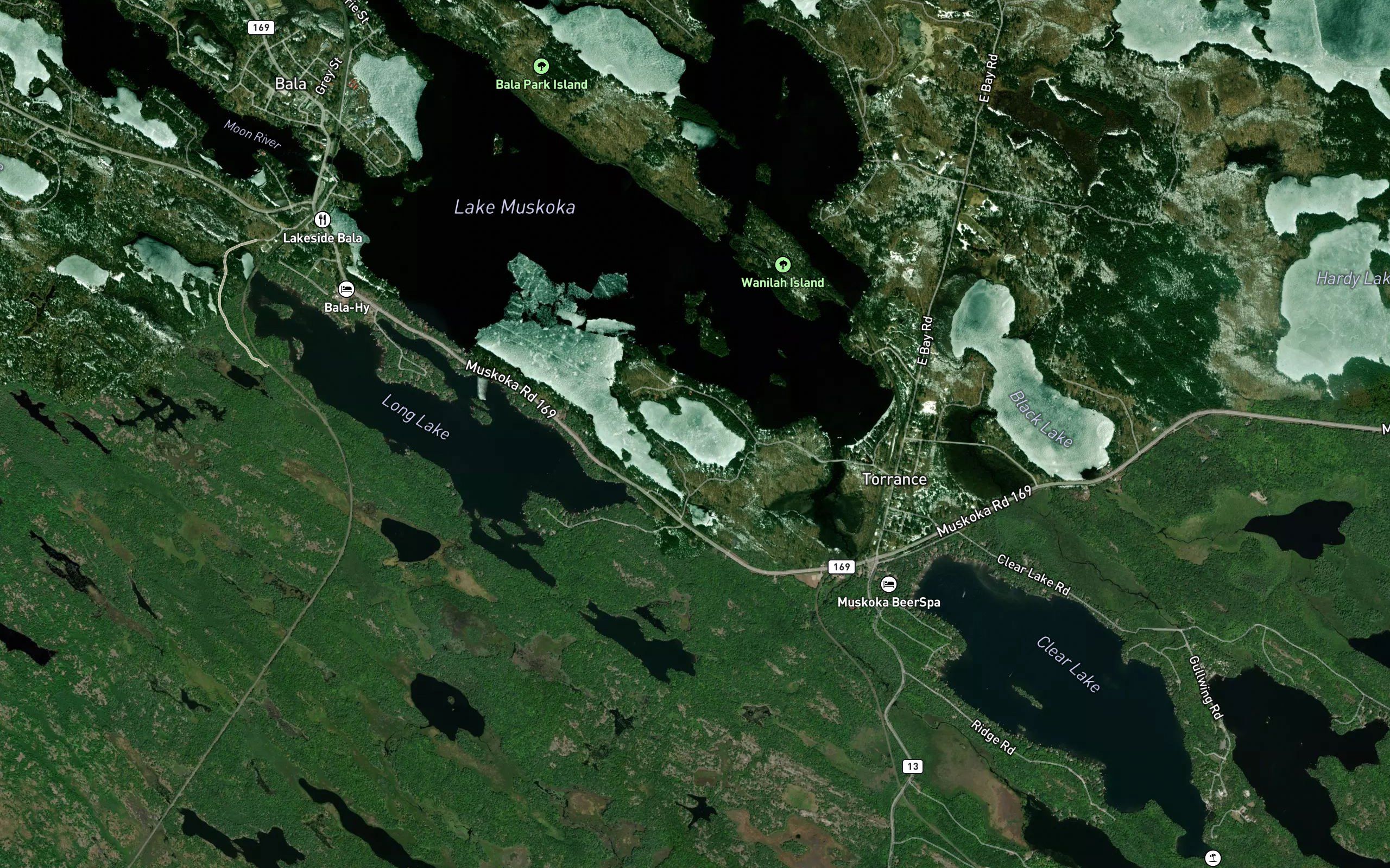 Dark Lake