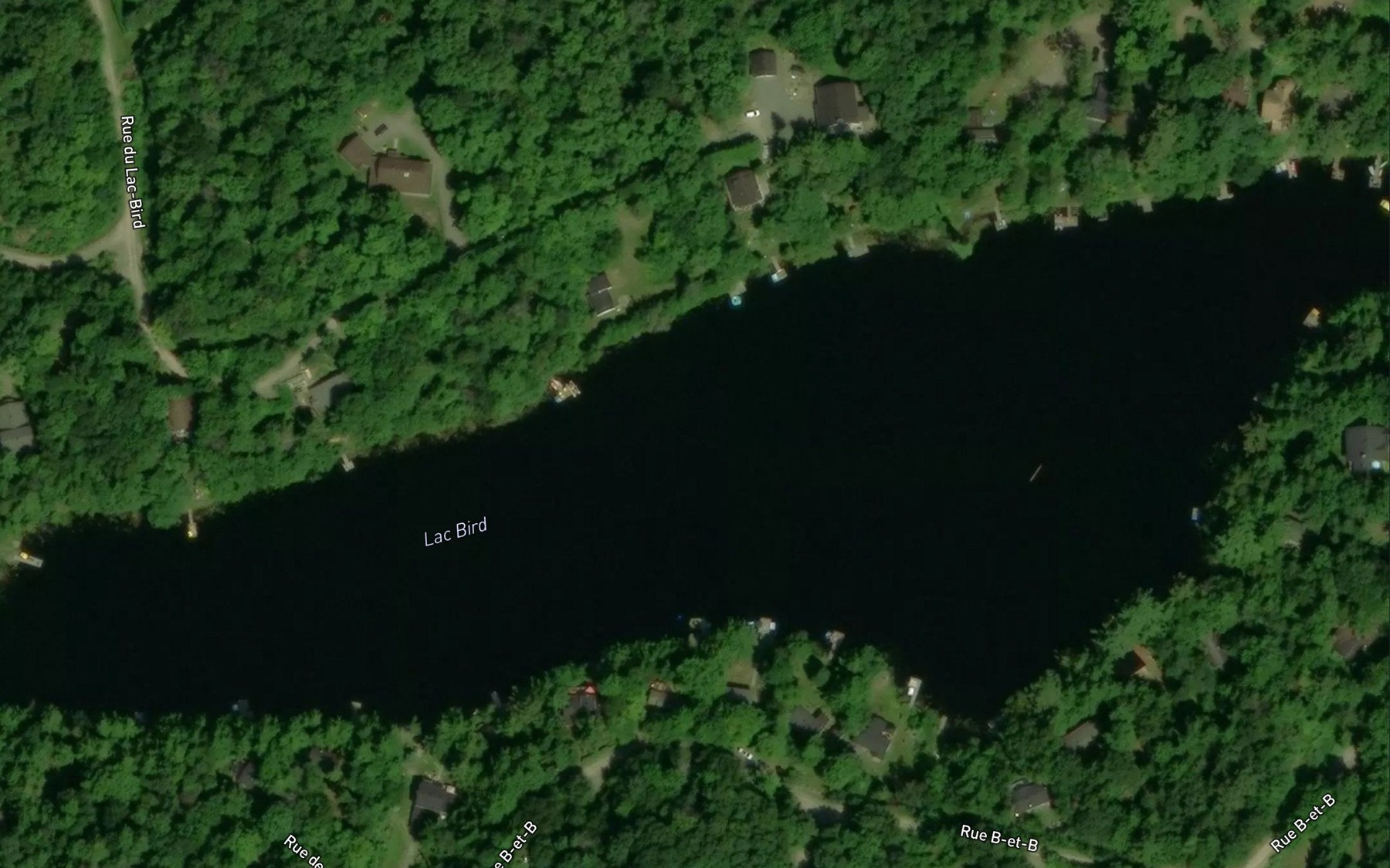 Satellite map of the Lac Bird