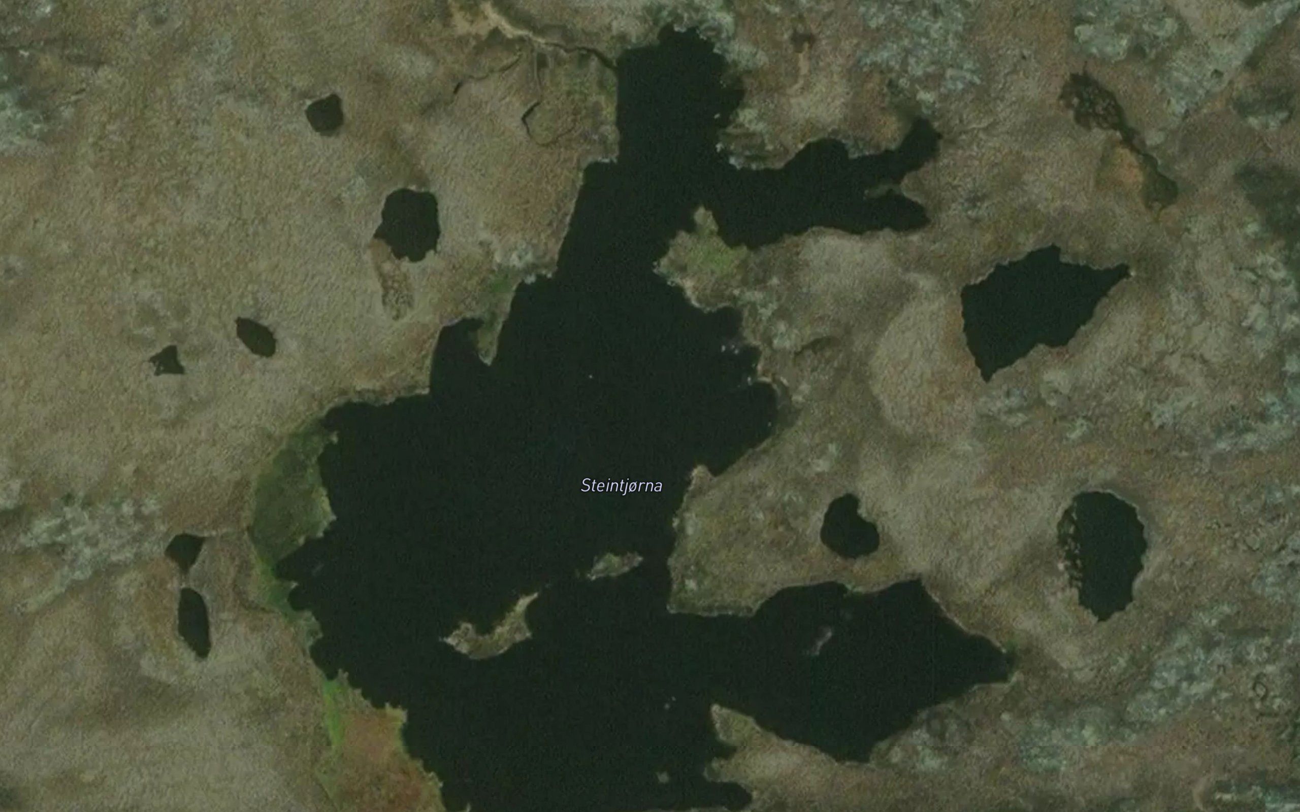 Rokhaugvatna
