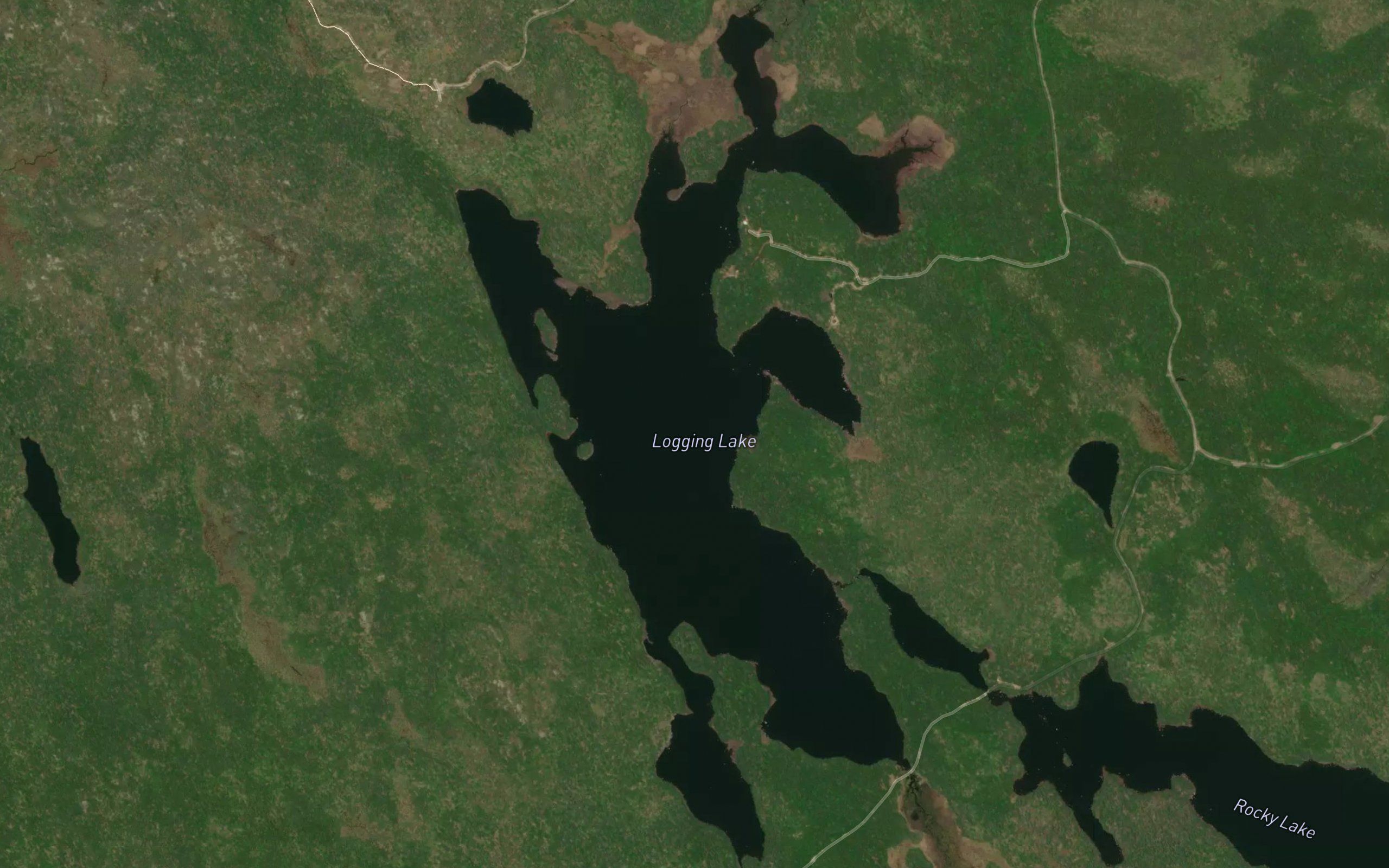 Logging Lake