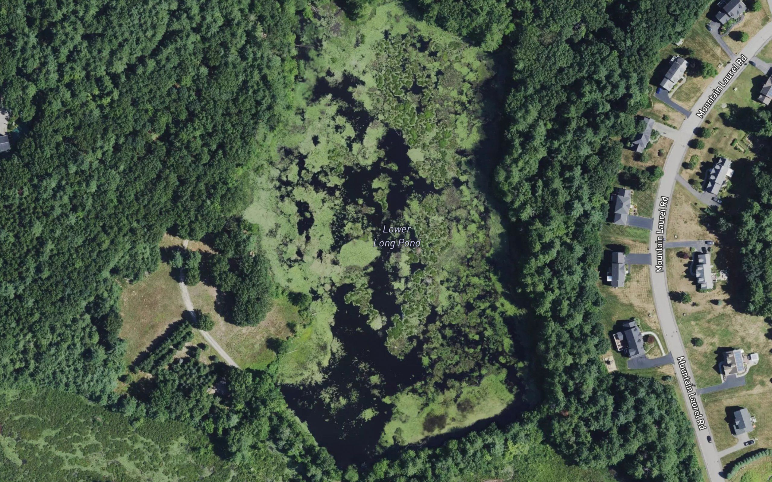 Lower Long Pond