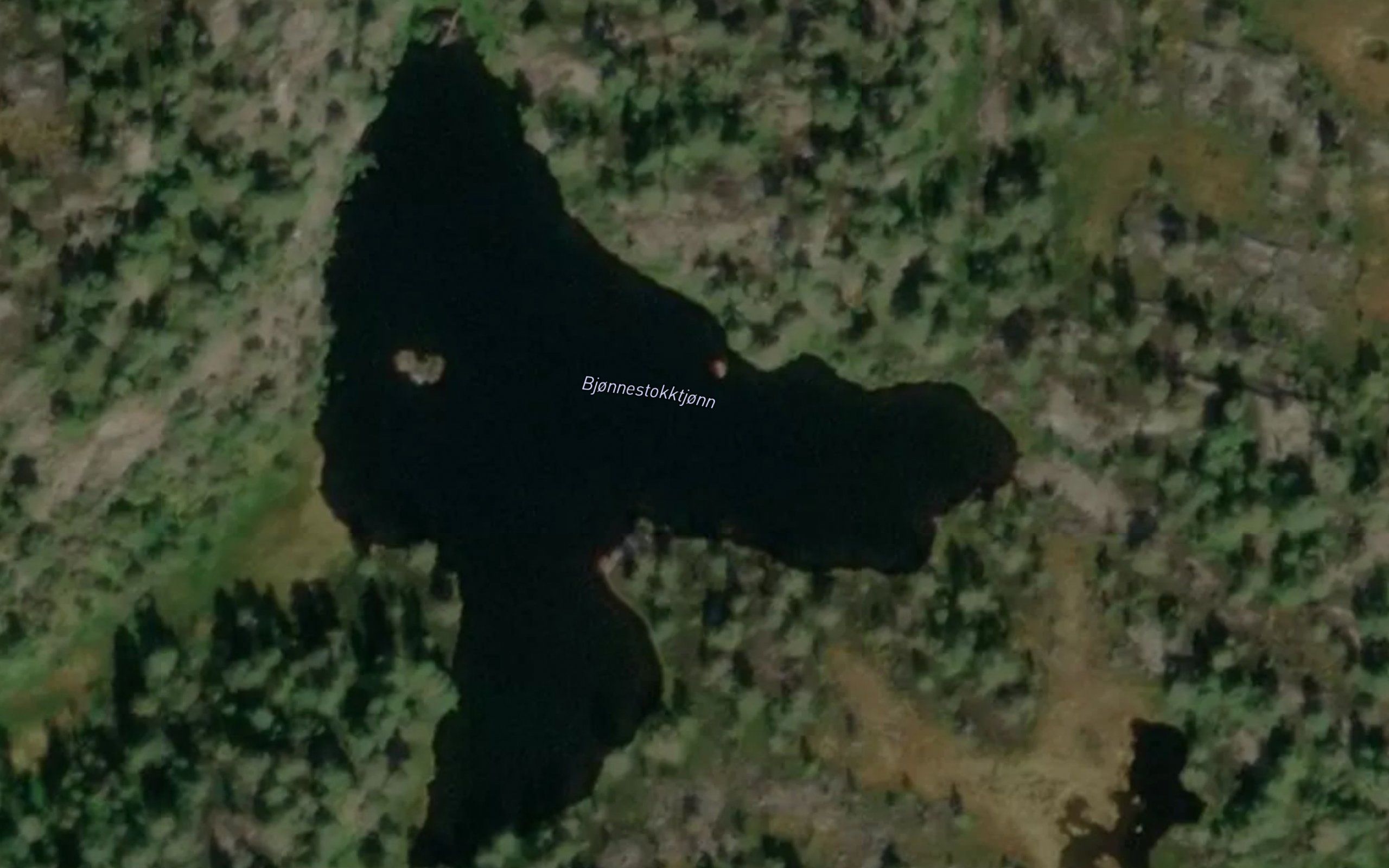 Bjonnestokktjonn