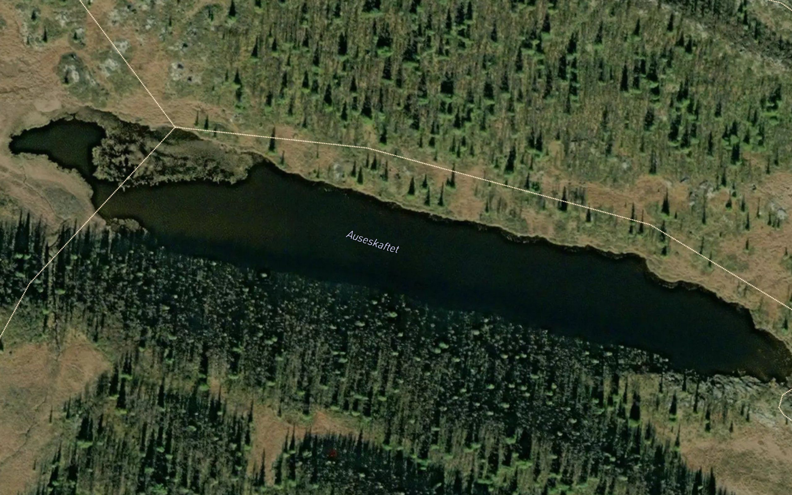 Auseskaftet
