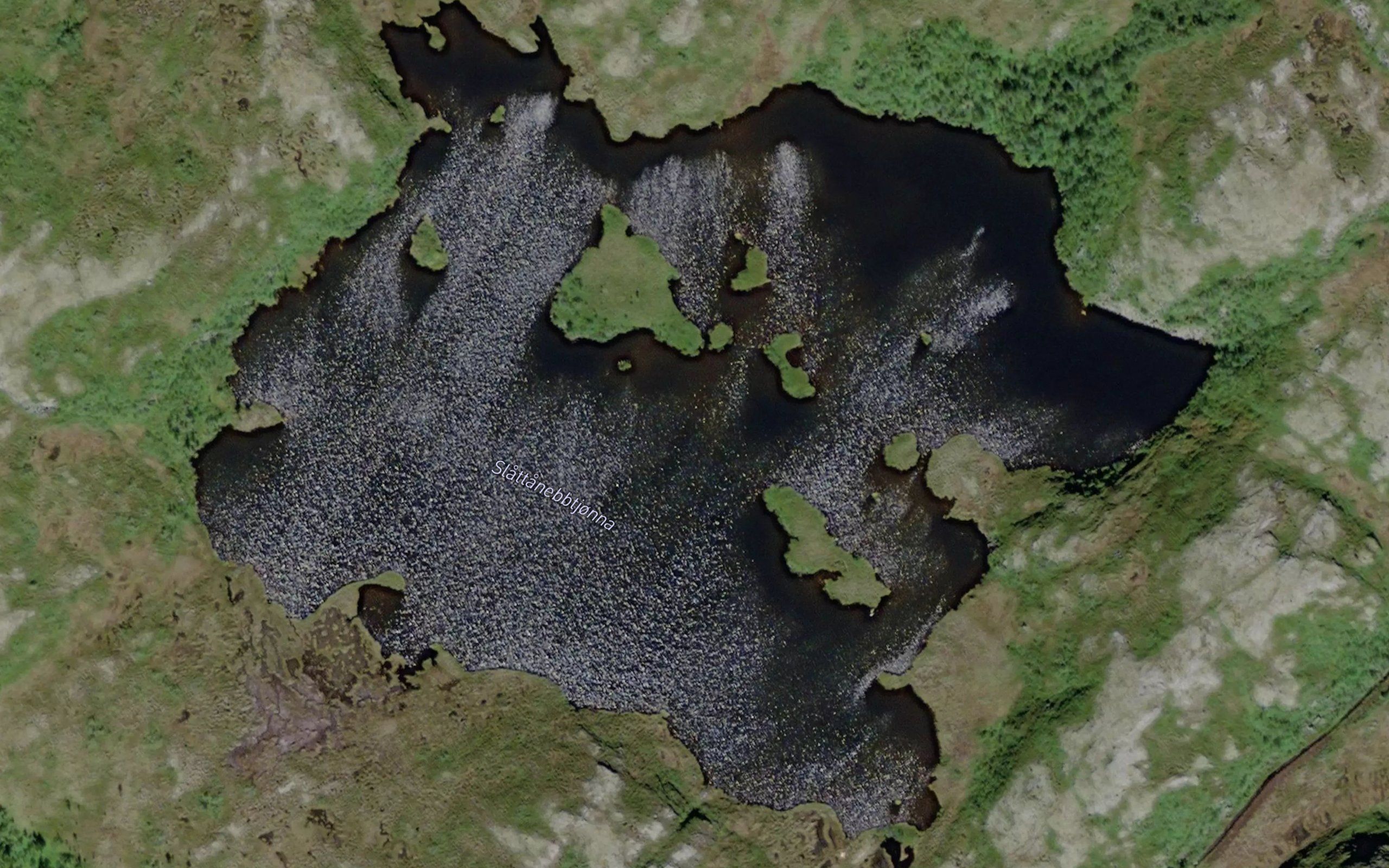 Slattanebbtjorna