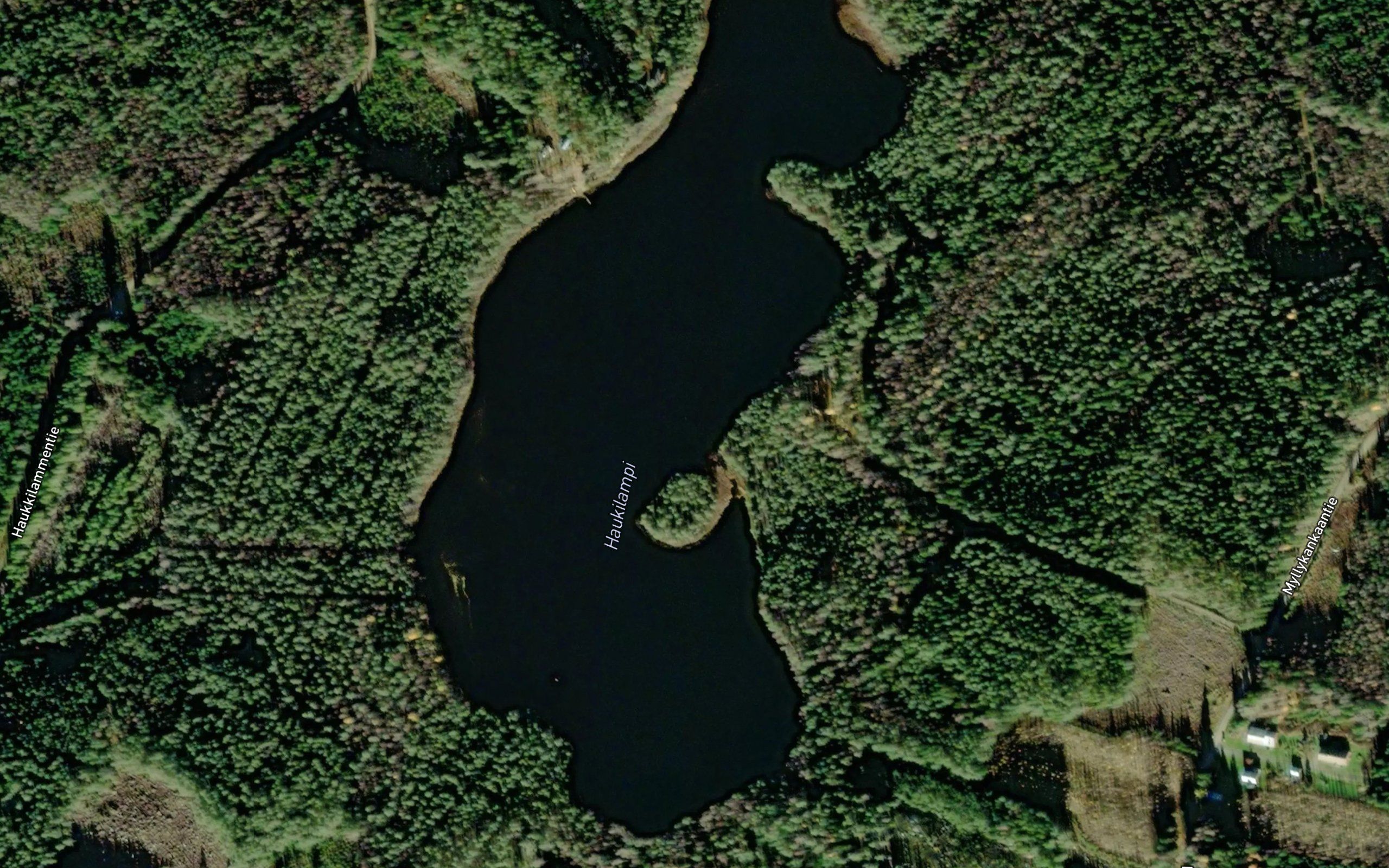 Haukilampi