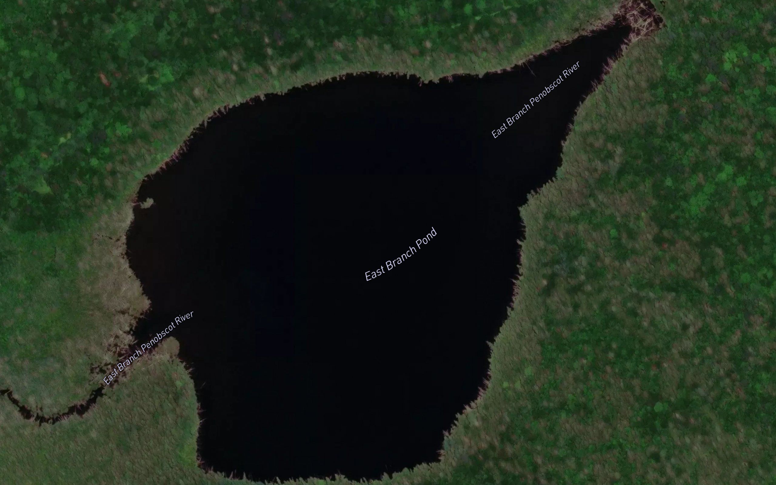 East Branch Pond