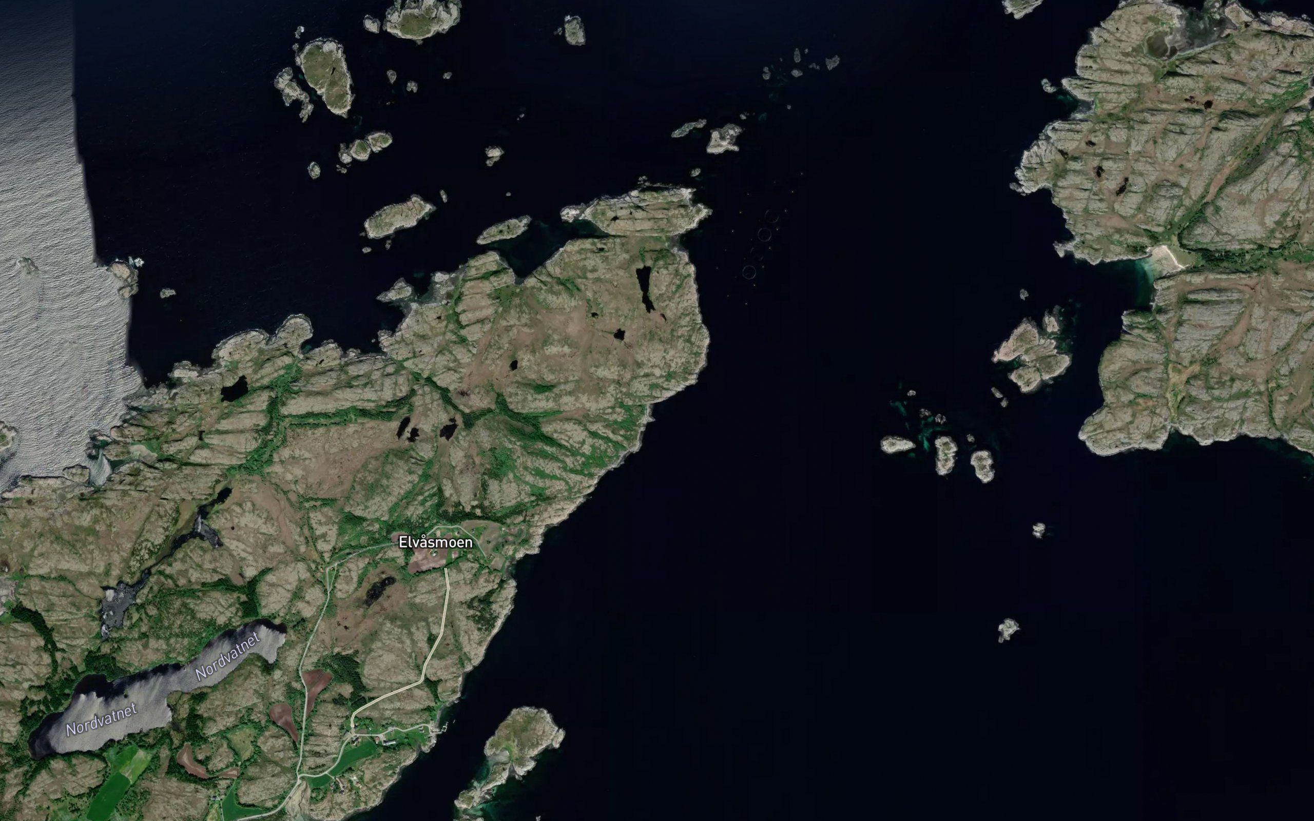 Grautvika
