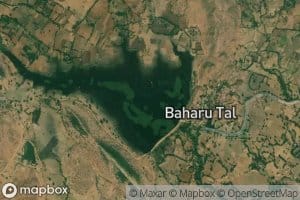 Bahru Tal