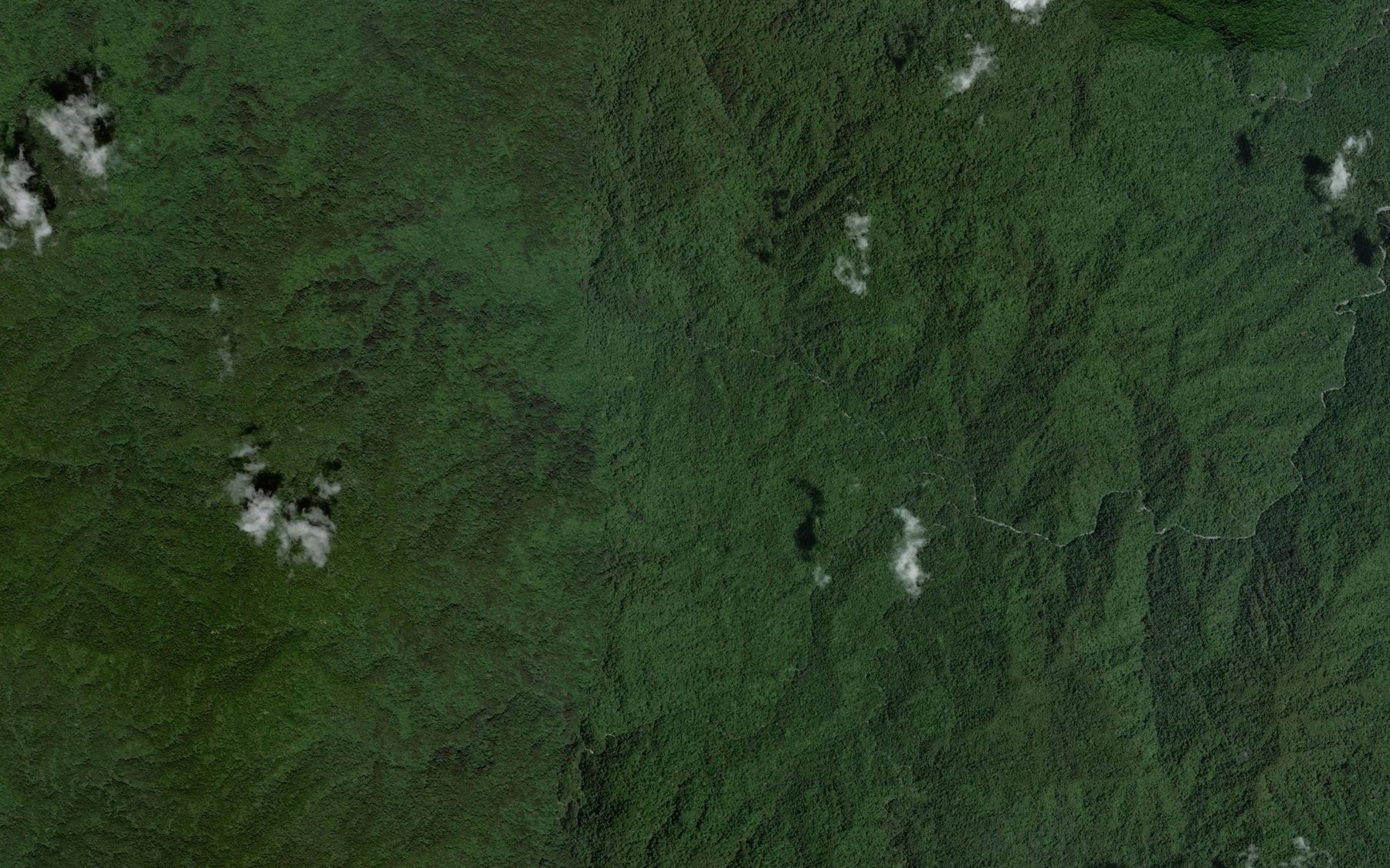 Satellite map of the Mururu Creek