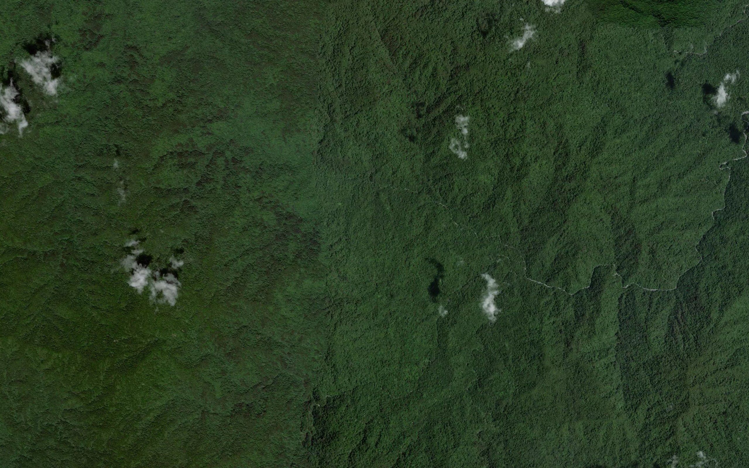 Mururu Creek