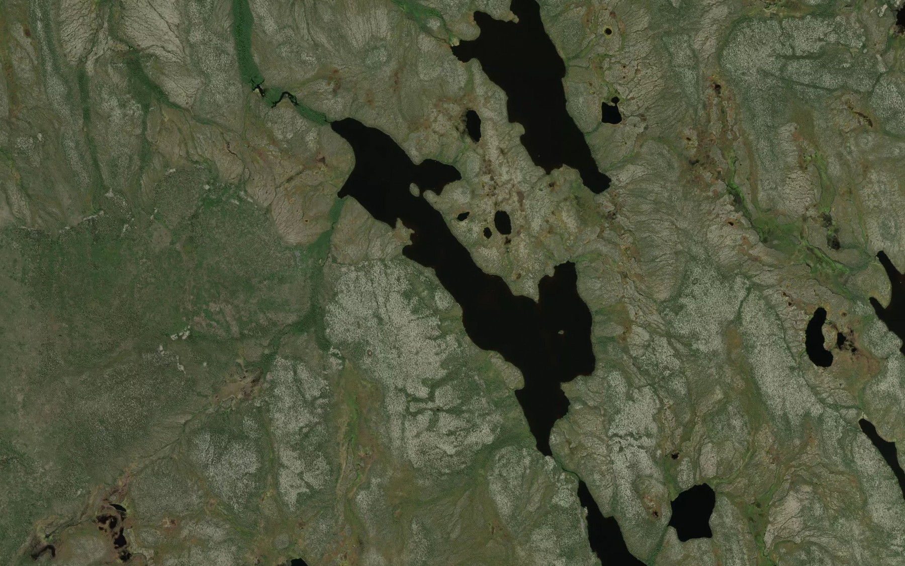 Satellite map of the Wightman Lake