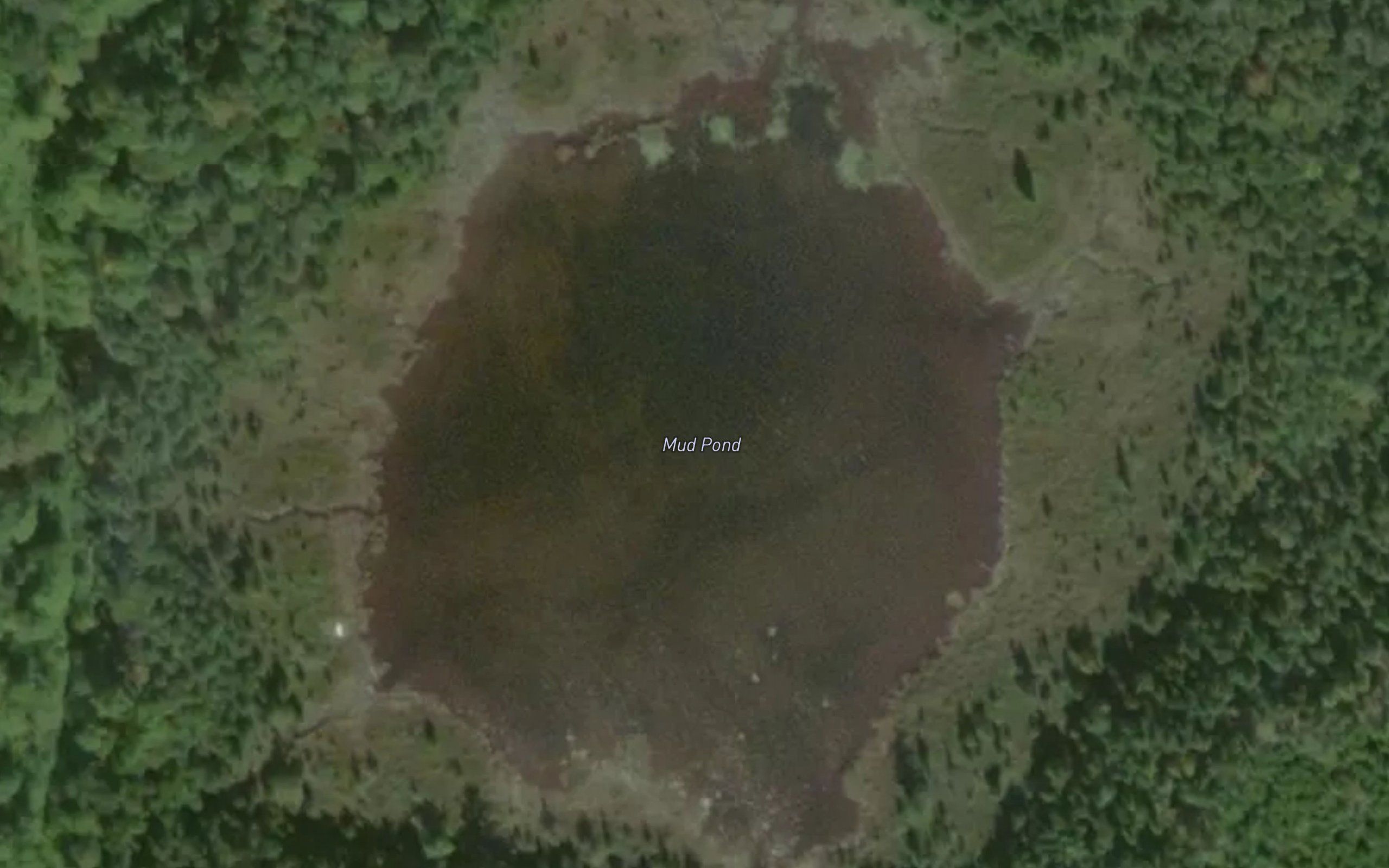 Mud Pond