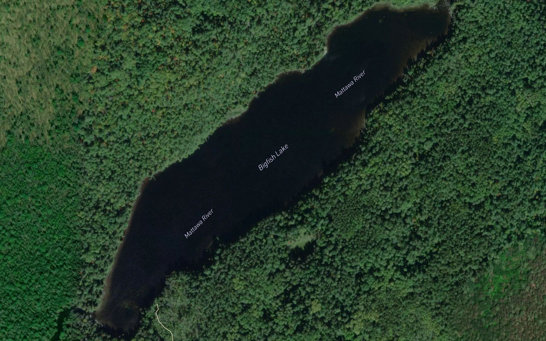 Satellite map of the Bigfish Lake