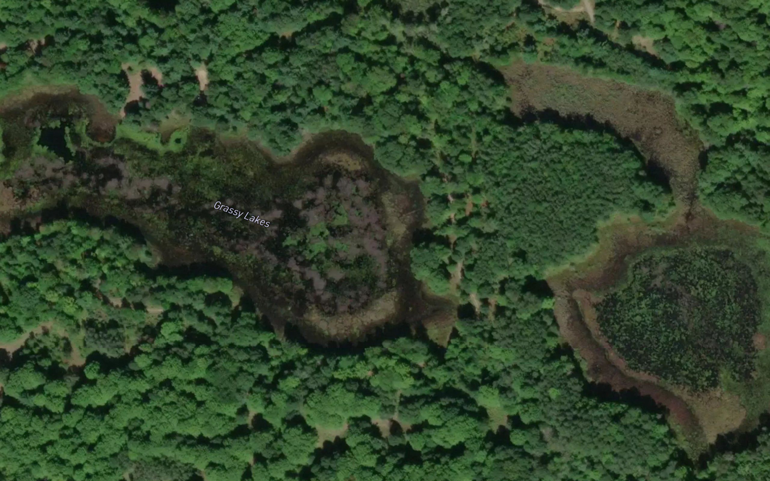 Grassy Lakes