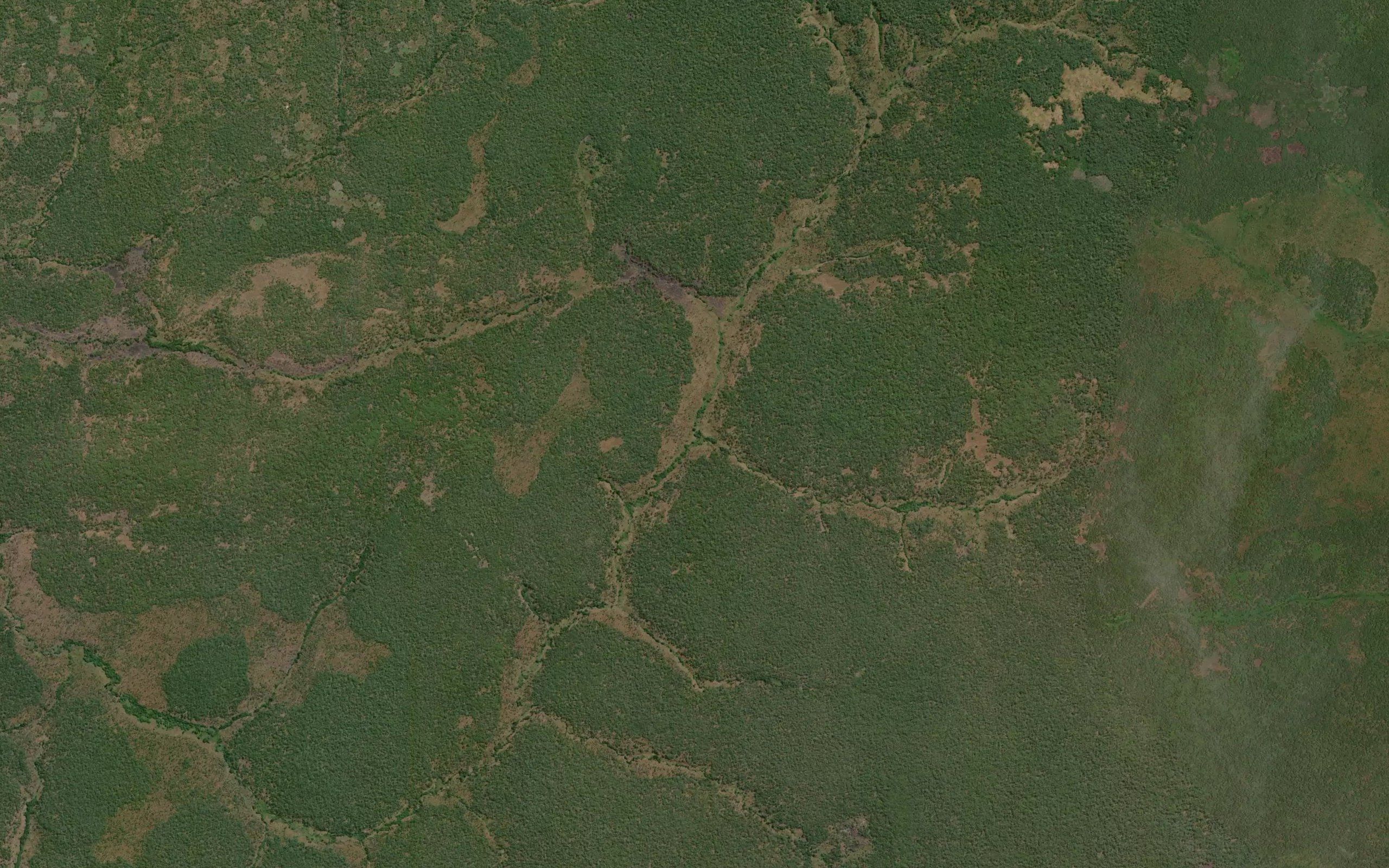 Kakula