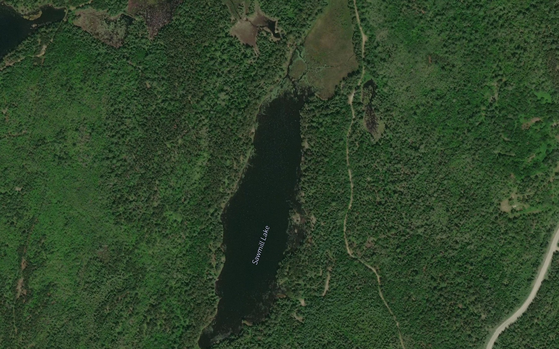 Satellite map of the Sawmill Lake